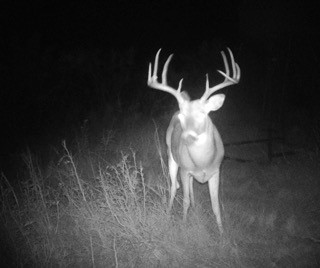 Tbd Fm 2321-tract 1 Bellevue TX 76228