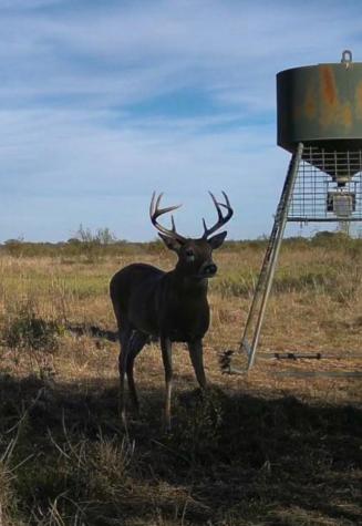 Tbd Fm 2321-tract 1 Bellevue TX 76228