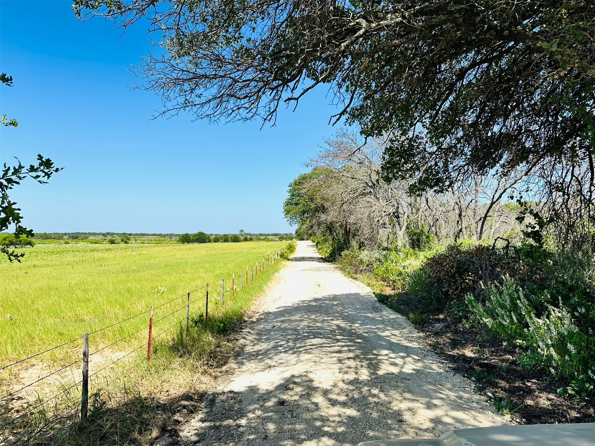 Tbd Co Road 216 Rising Star TX 76471