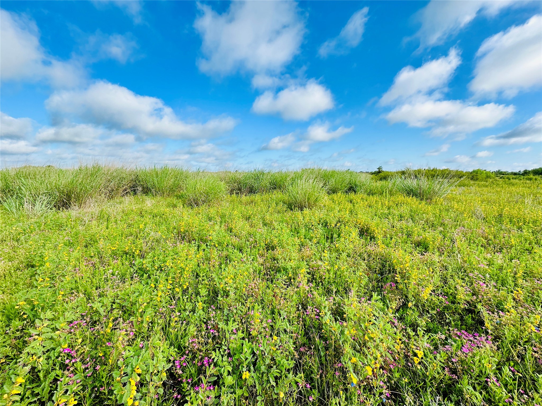 Tbd Co Road 216 Rising Star TX 76471