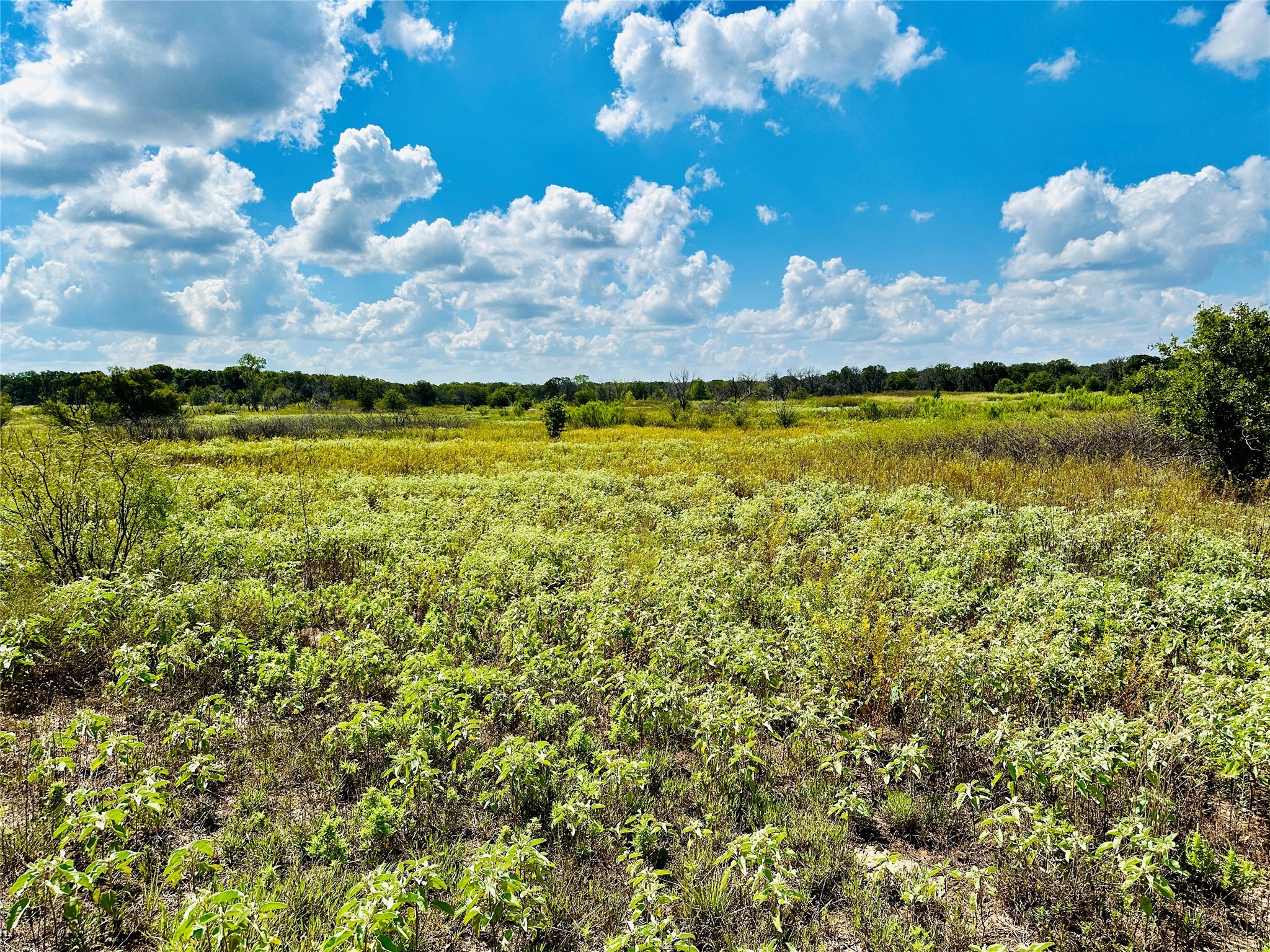 Tbd Co Road 216 Rising Star TX 76471