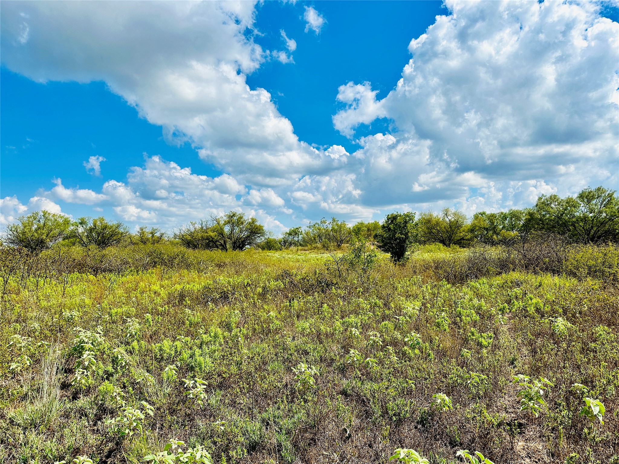 Tbd Co Road 216 Rising Star TX 76471