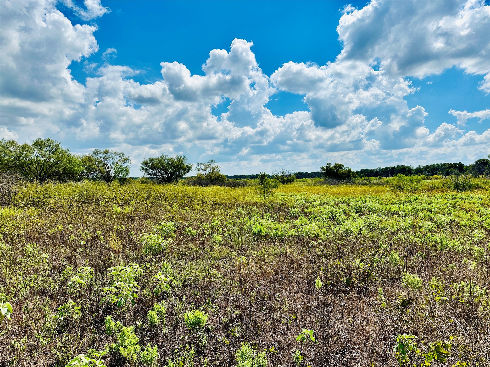 Tbd Co Road 216 Rising Star TX 76471