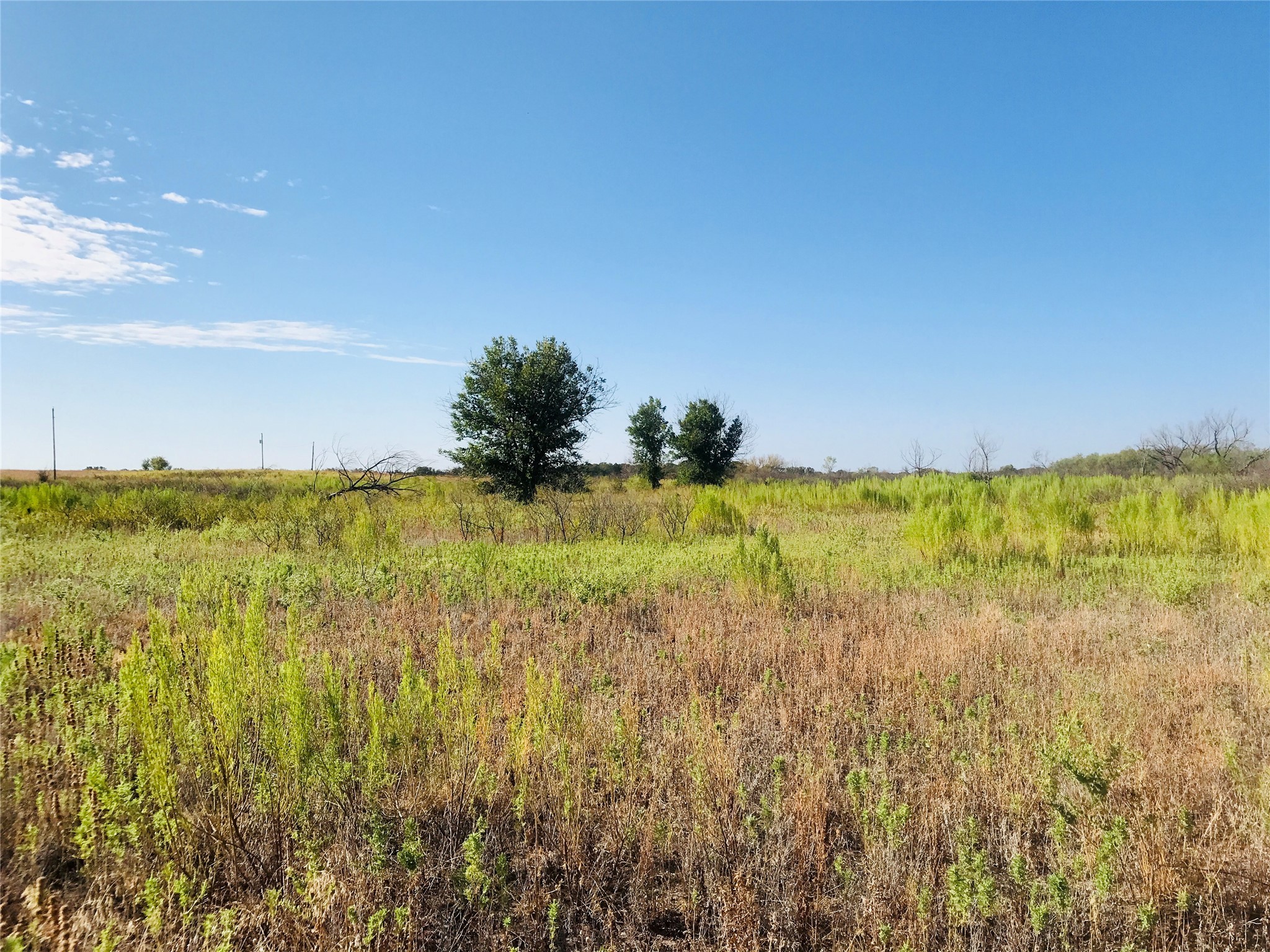 Tbd Co Road 216 Rising Star TX 76471