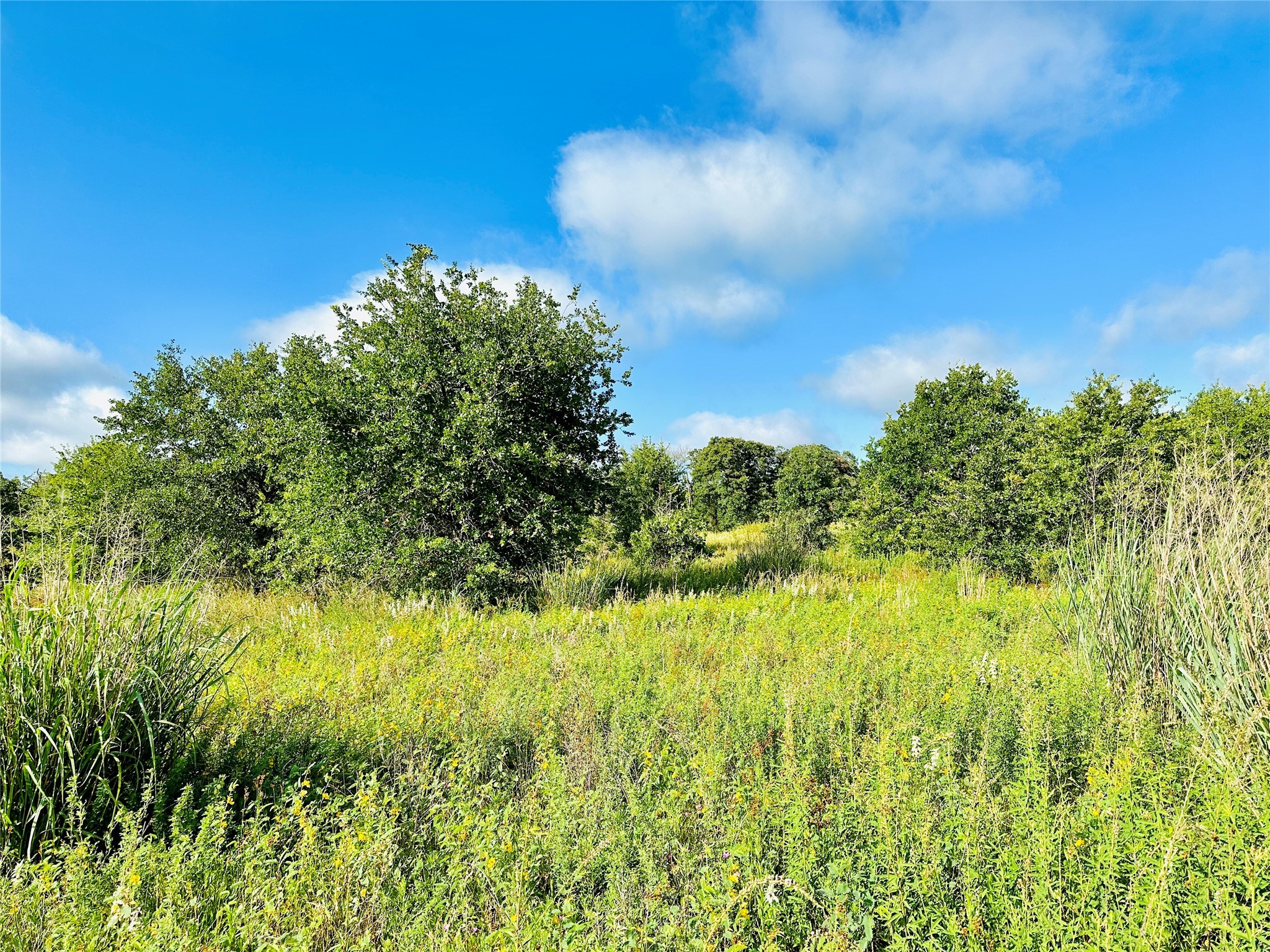 Tbd Co Road 216 Rising Star TX 76471