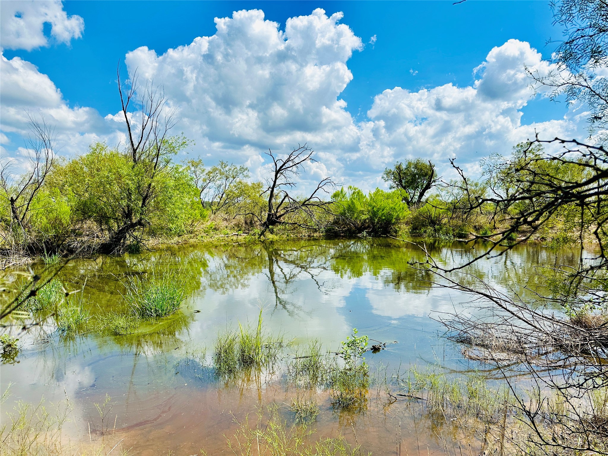 Tbd Co Road 216 Rising Star TX 76471