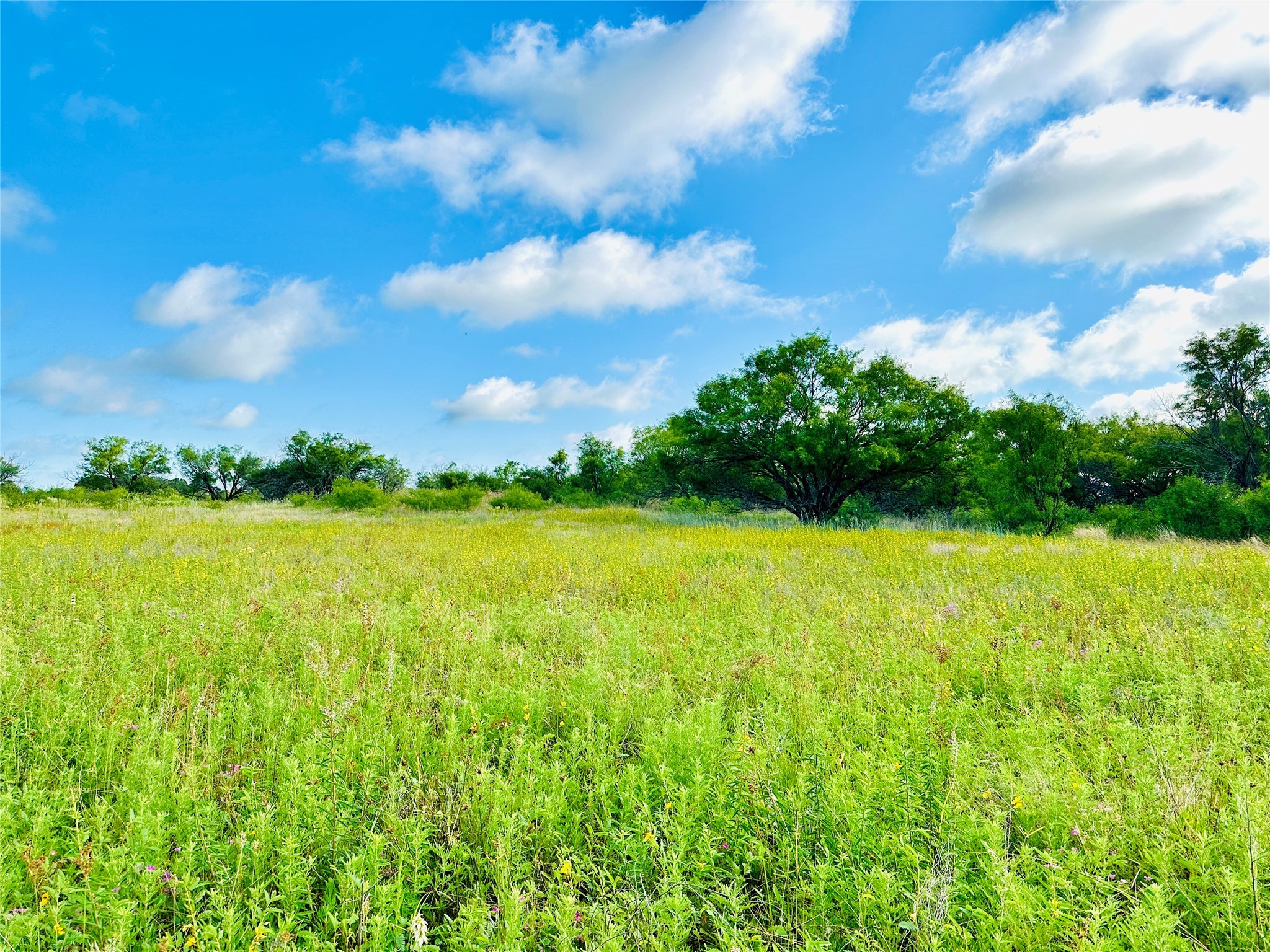 Tbd Co Road 216 Rising Star TX 76471