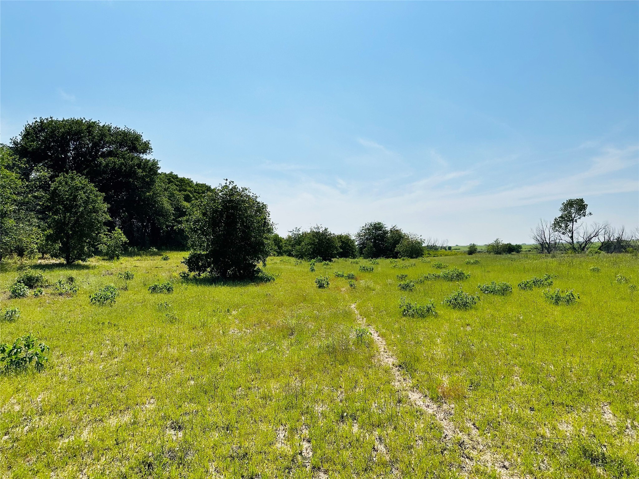 Tbd Co Road 216 Rising Star TX 76471