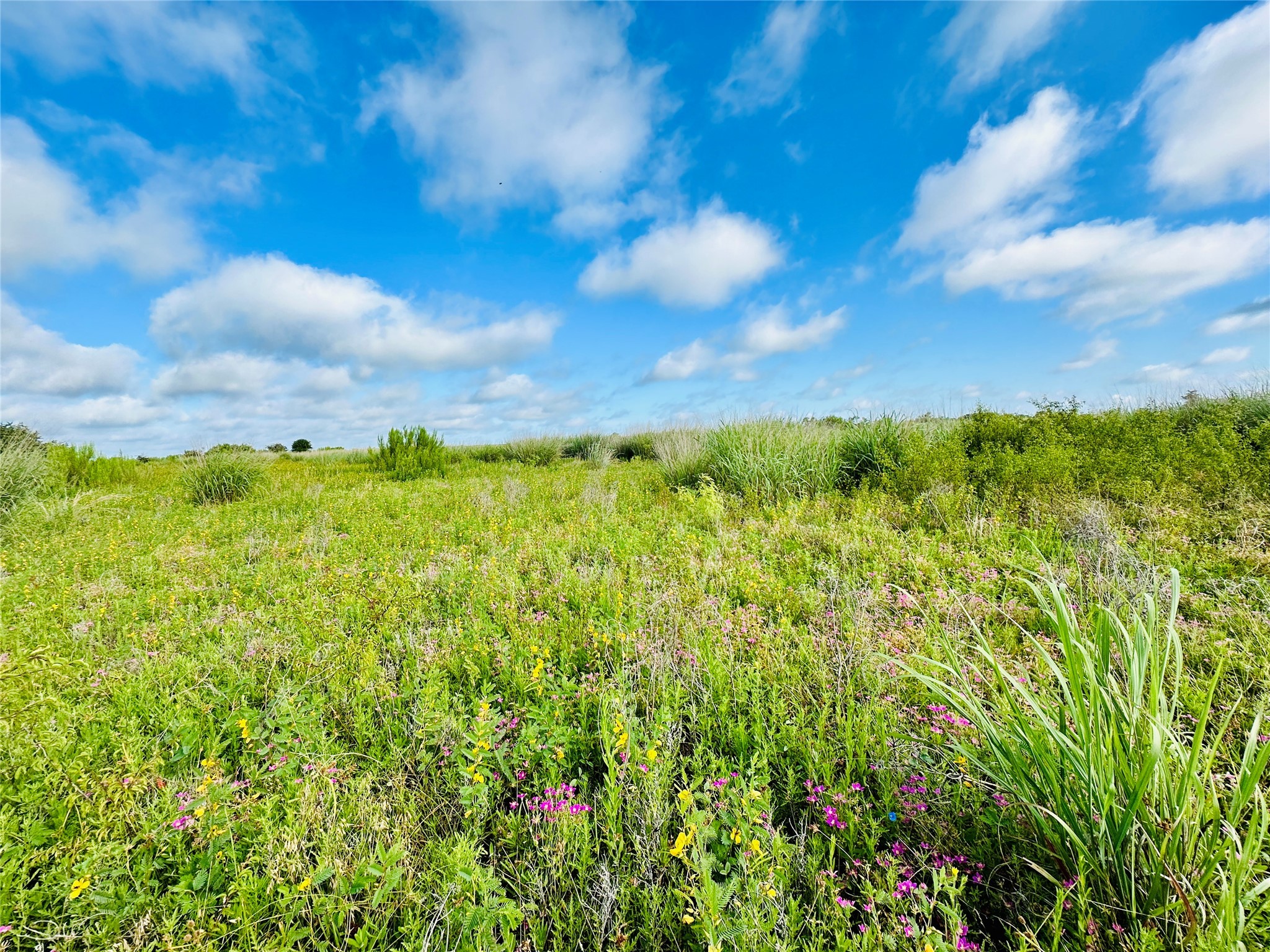 Tbd Co Road 216 Rising Star TX 76471