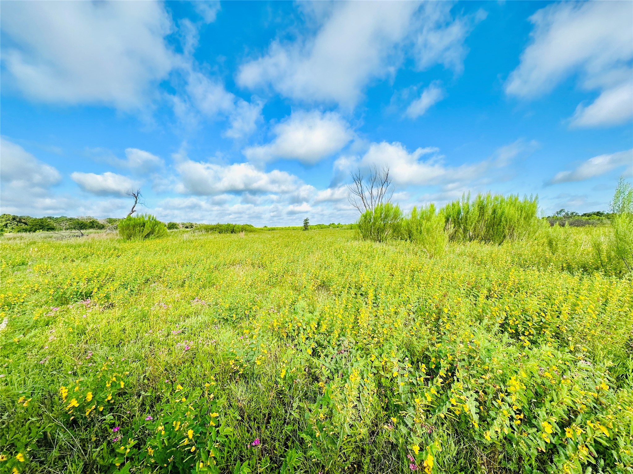 Tbd Co Road 216 Rising Star TX 76471