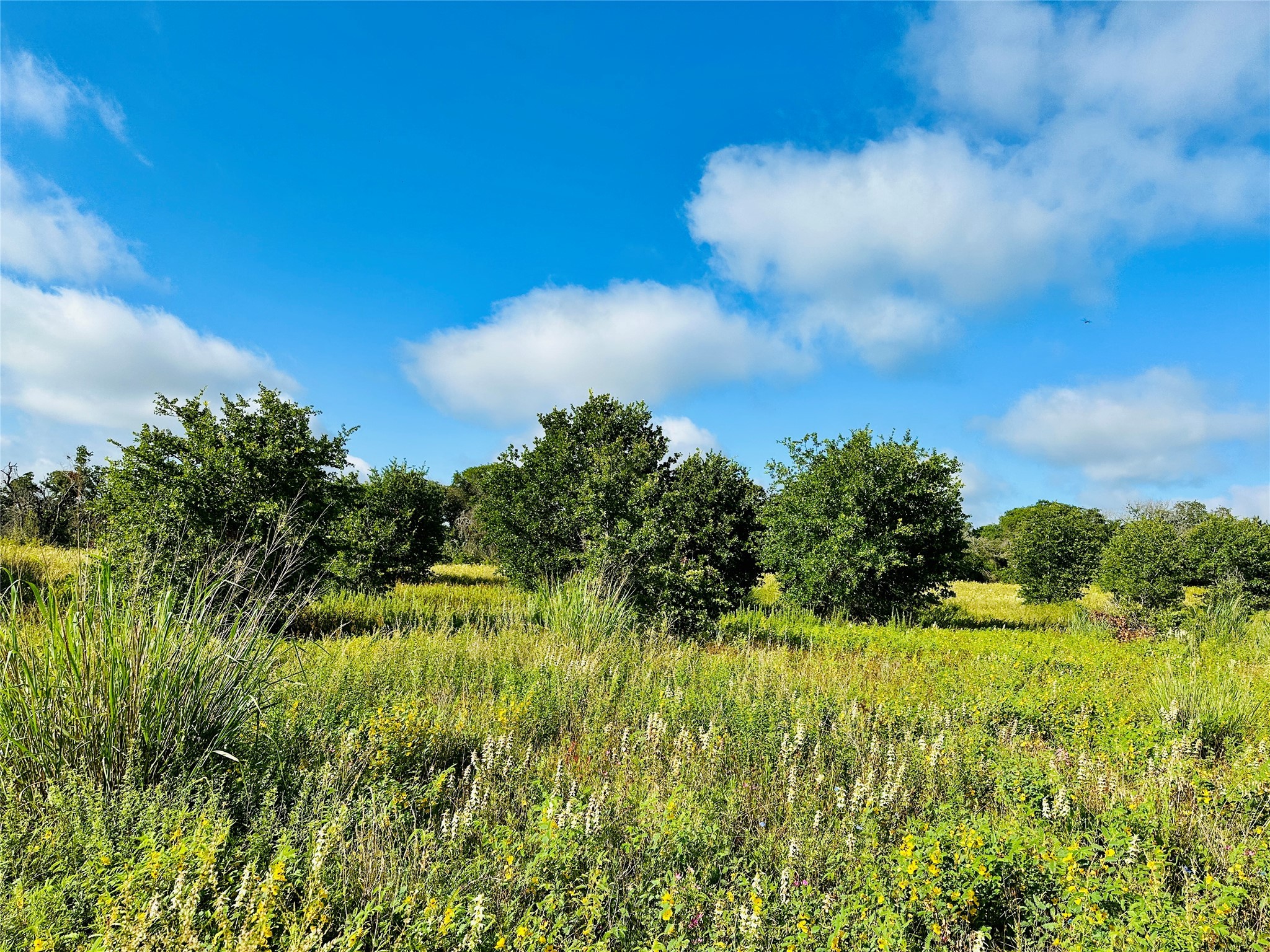 Tbd Co Road 216 Rising Star TX 76471