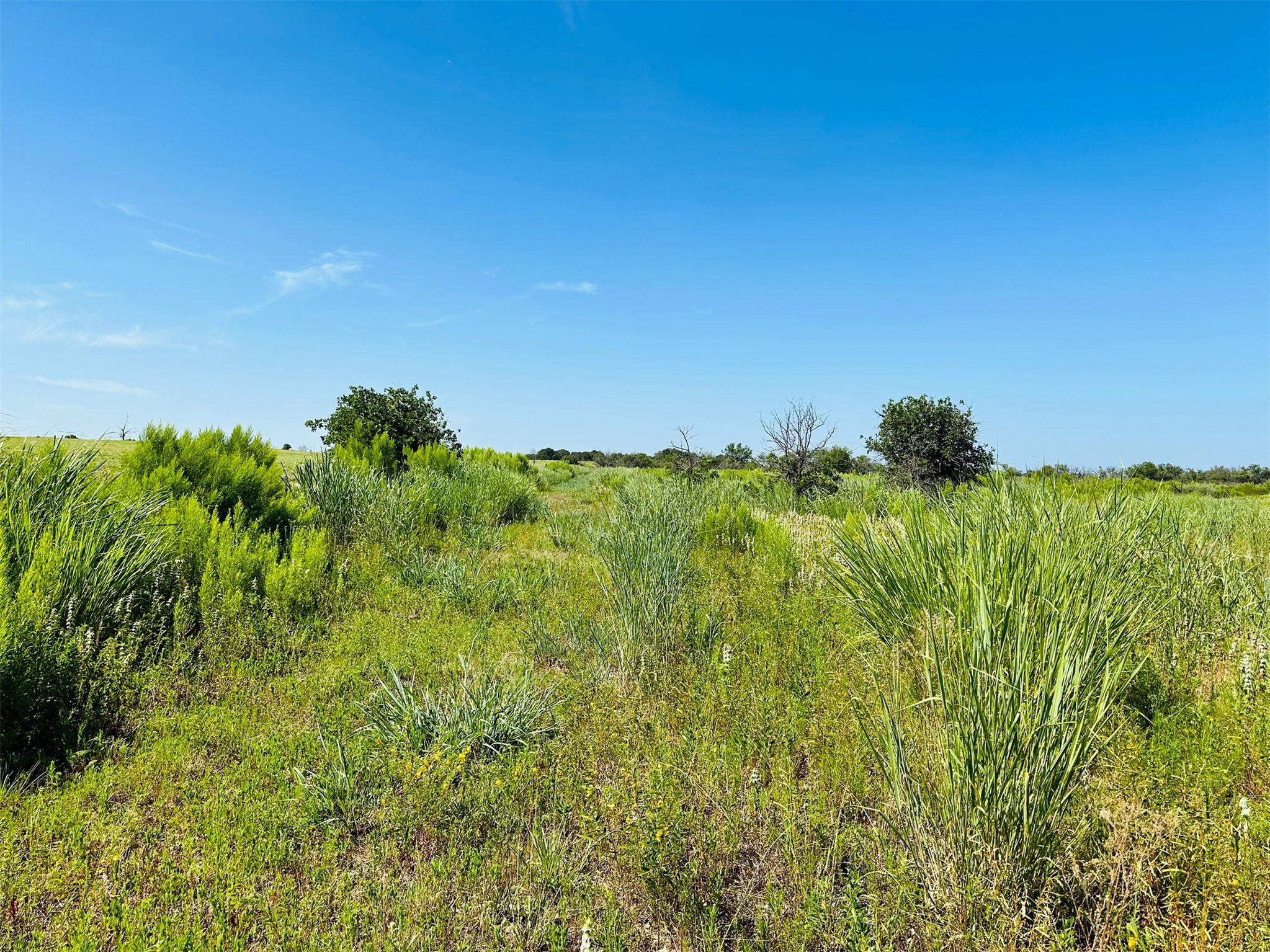 Tbd Co Road 216 Rising Star TX 76471