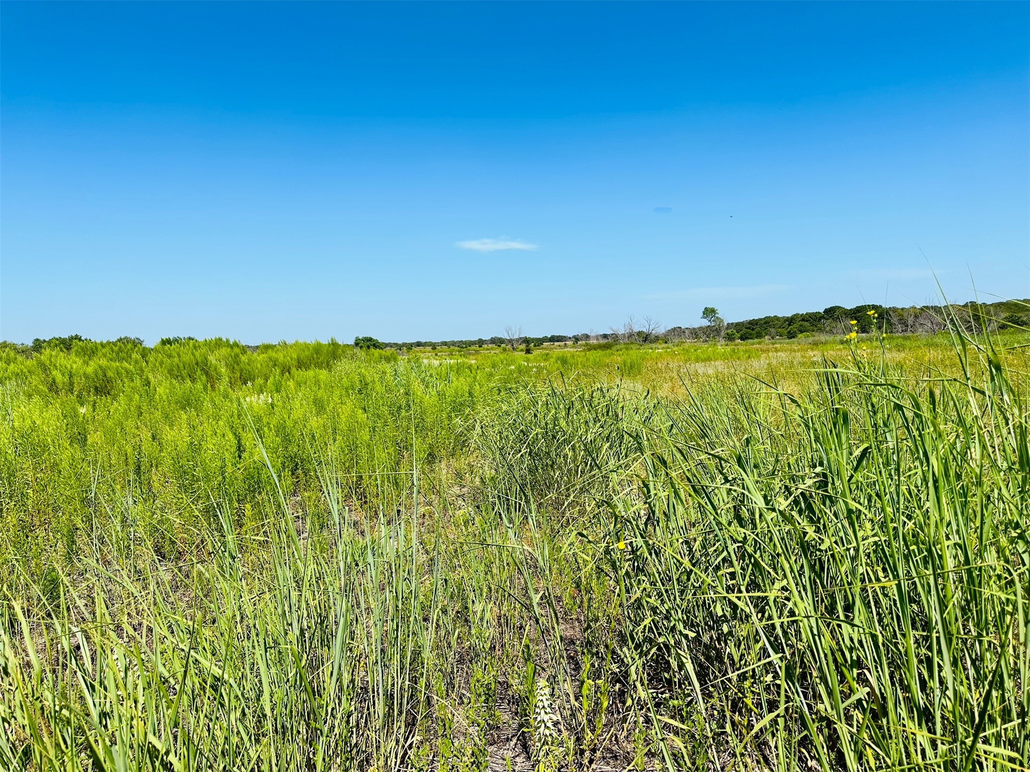 Tbd Co Road 216 Rising Star TX 76471