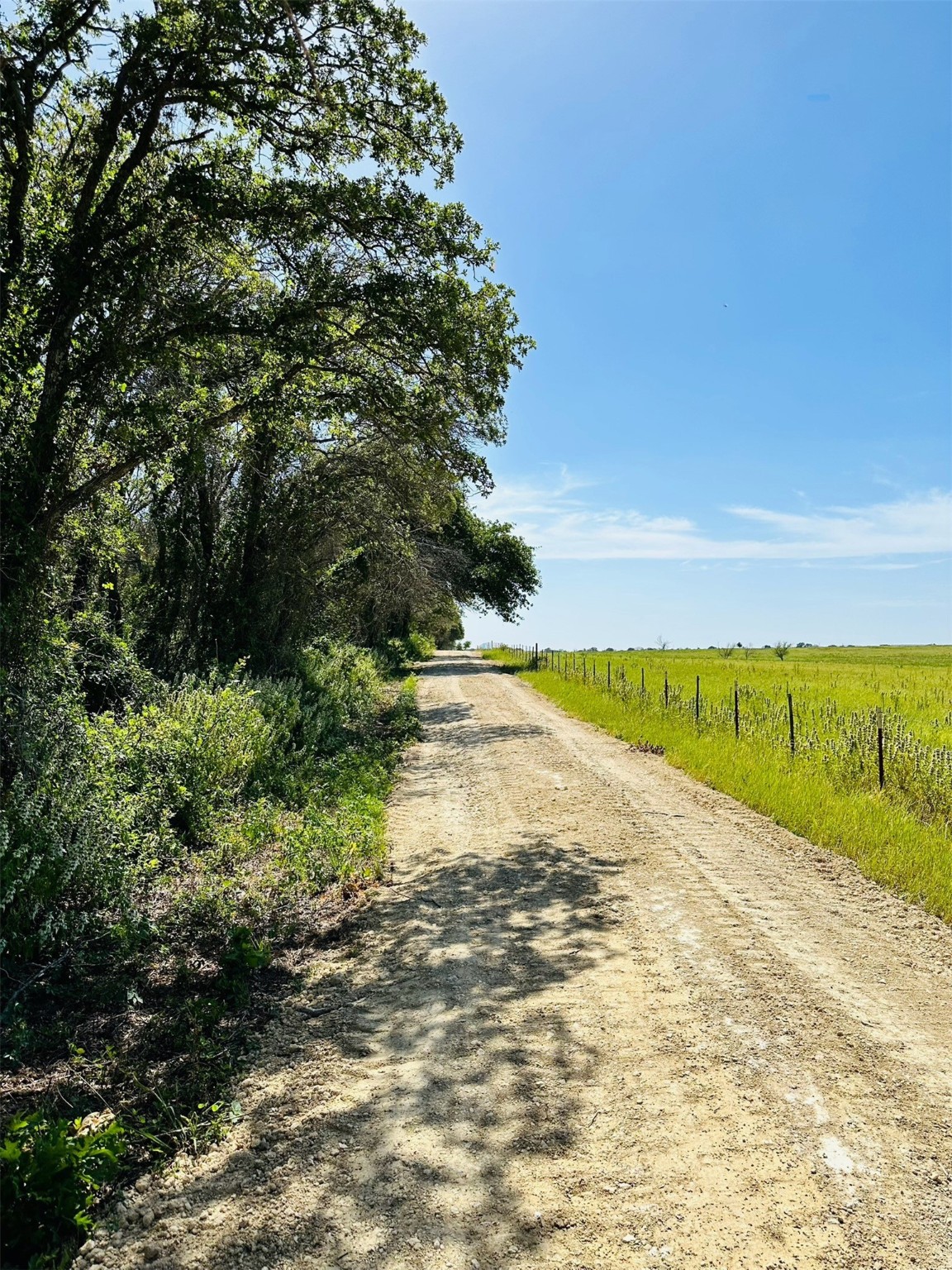 Tbd Co Road 216 Rising Star TX 76471