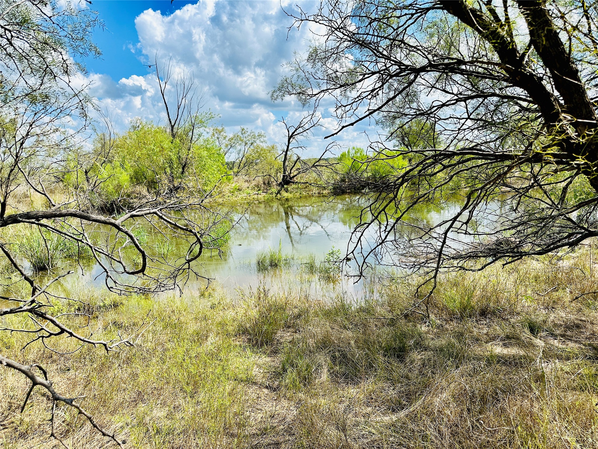 Tbd Co Road 216 Rising Star TX 76471