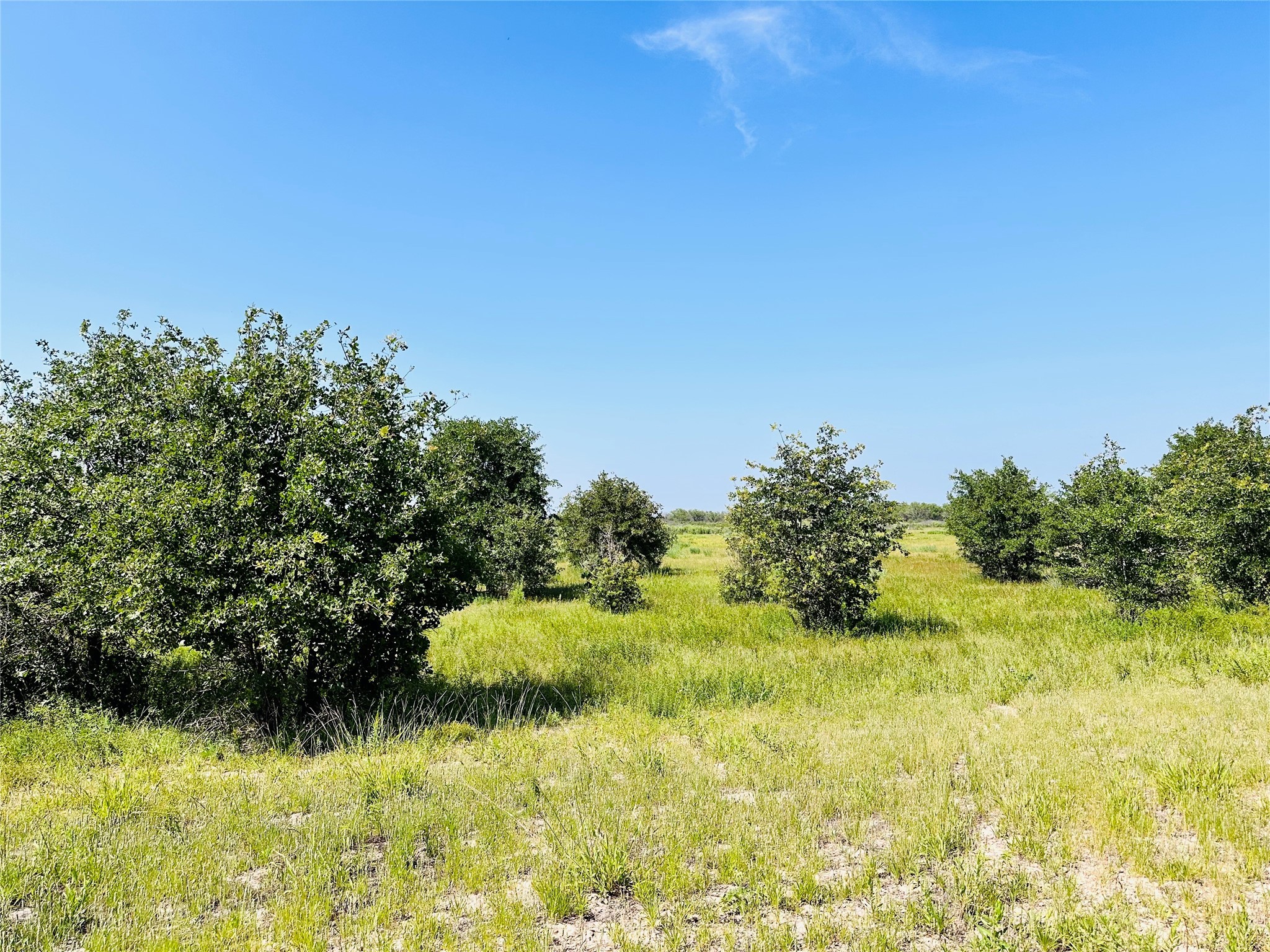 Tbd Co Road 216 Rising Star TX 76471