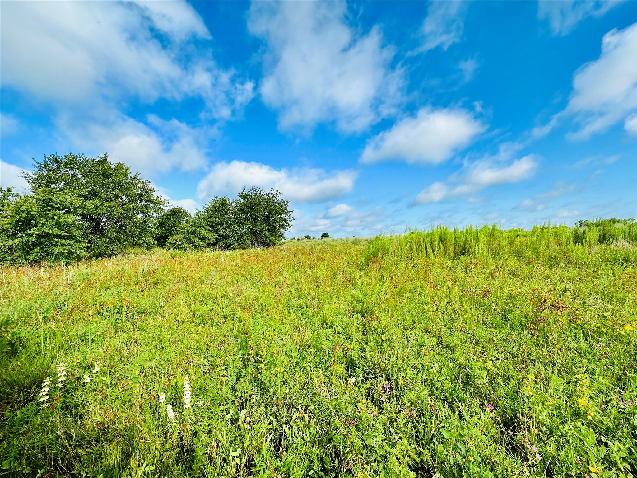 Tbd Co Road 216 Rising Star TX 76471