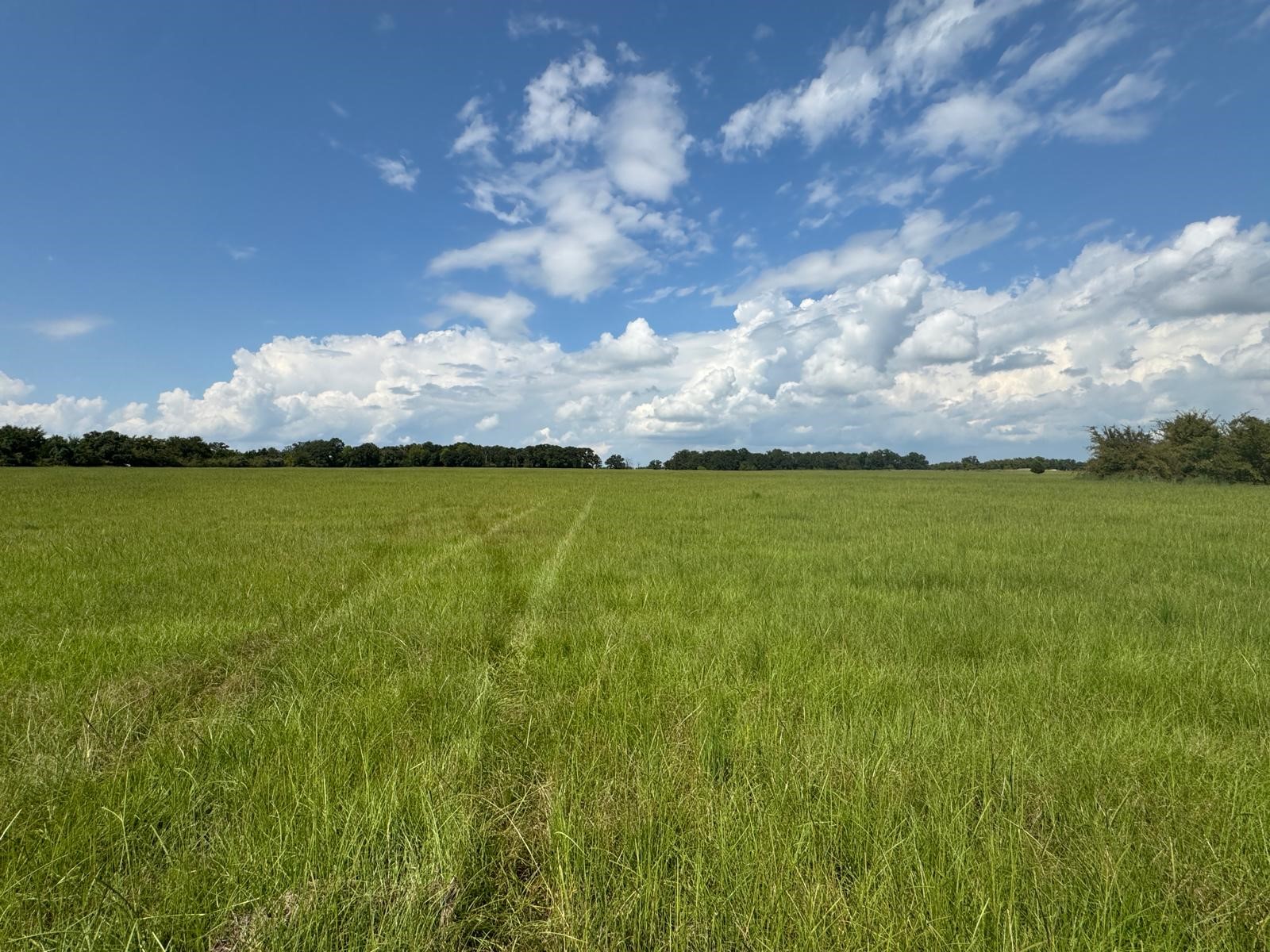 12675 County Road 2922 Eustace TX 75124