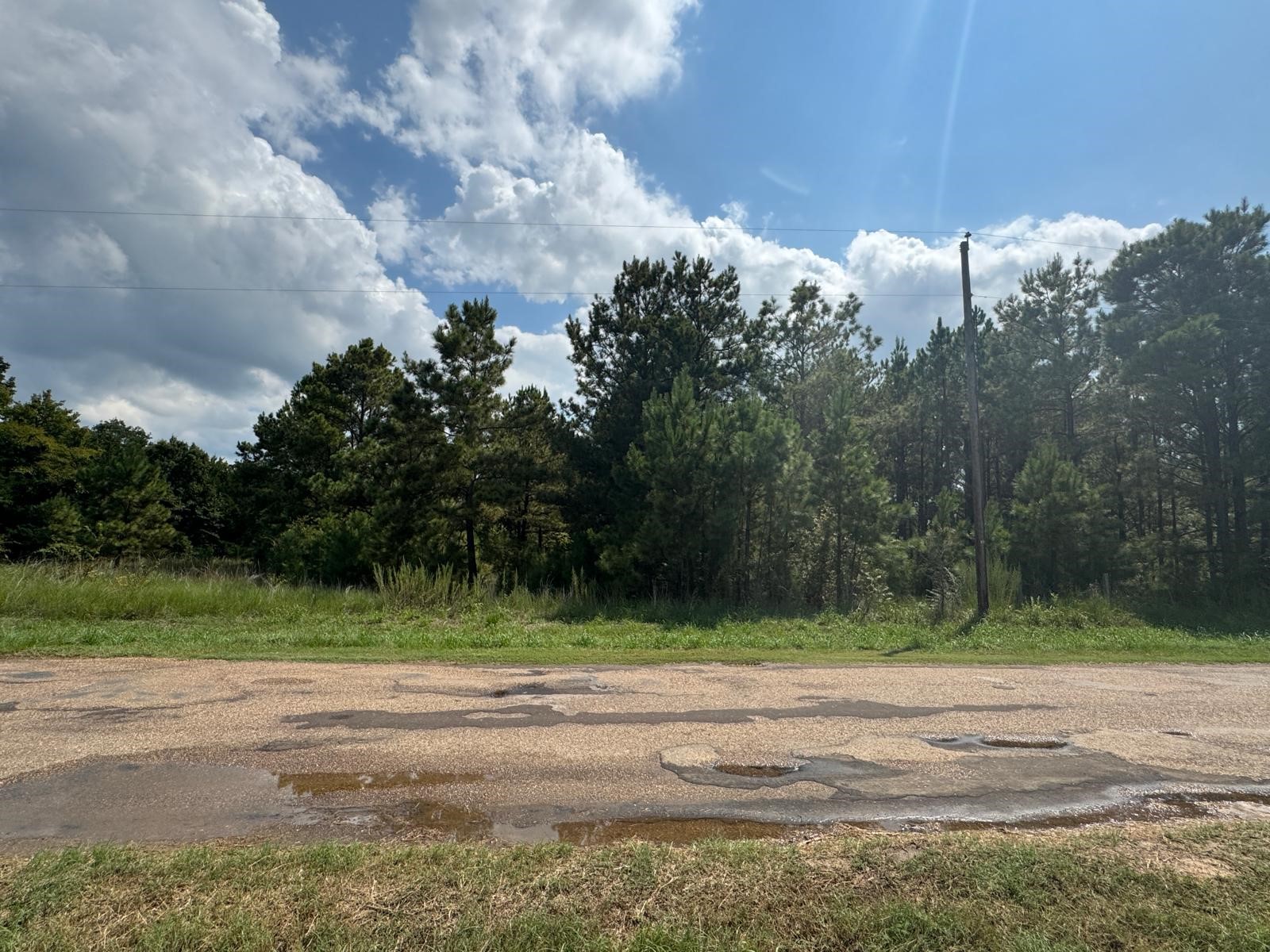 12675 County Road 2922 Eustace TX 75124