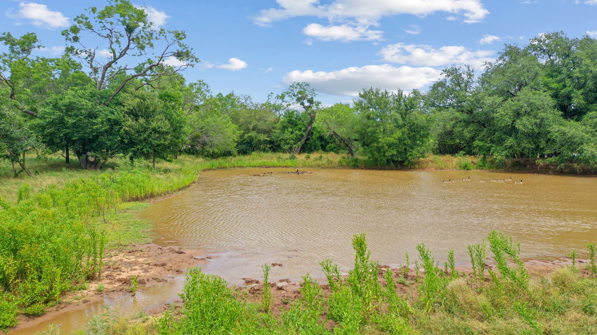 Tbd Goen Road Millsap TX 76066