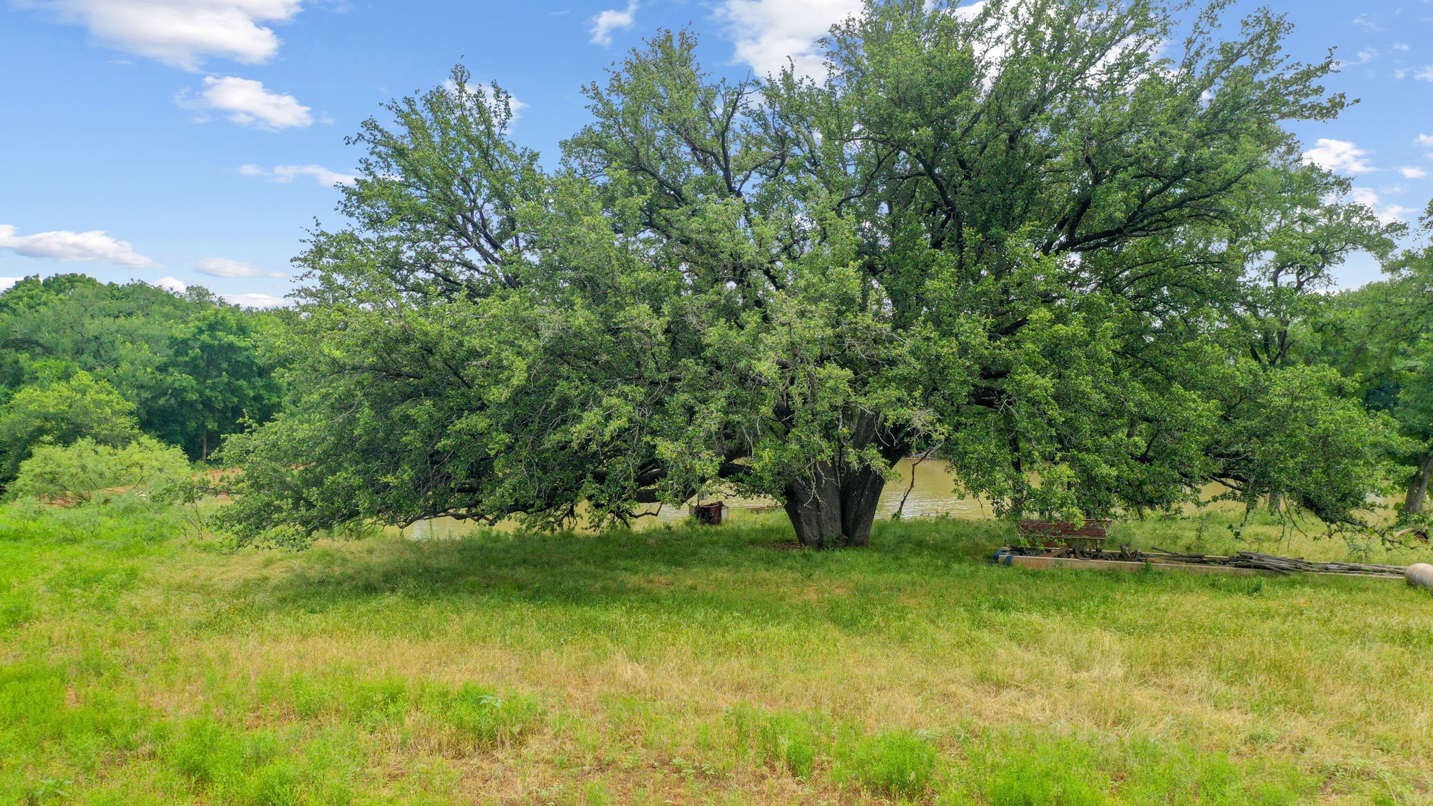 Tbd Goen Road Millsap TX 76066