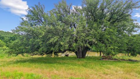 Tbd Goen Road Millsap TX 76066