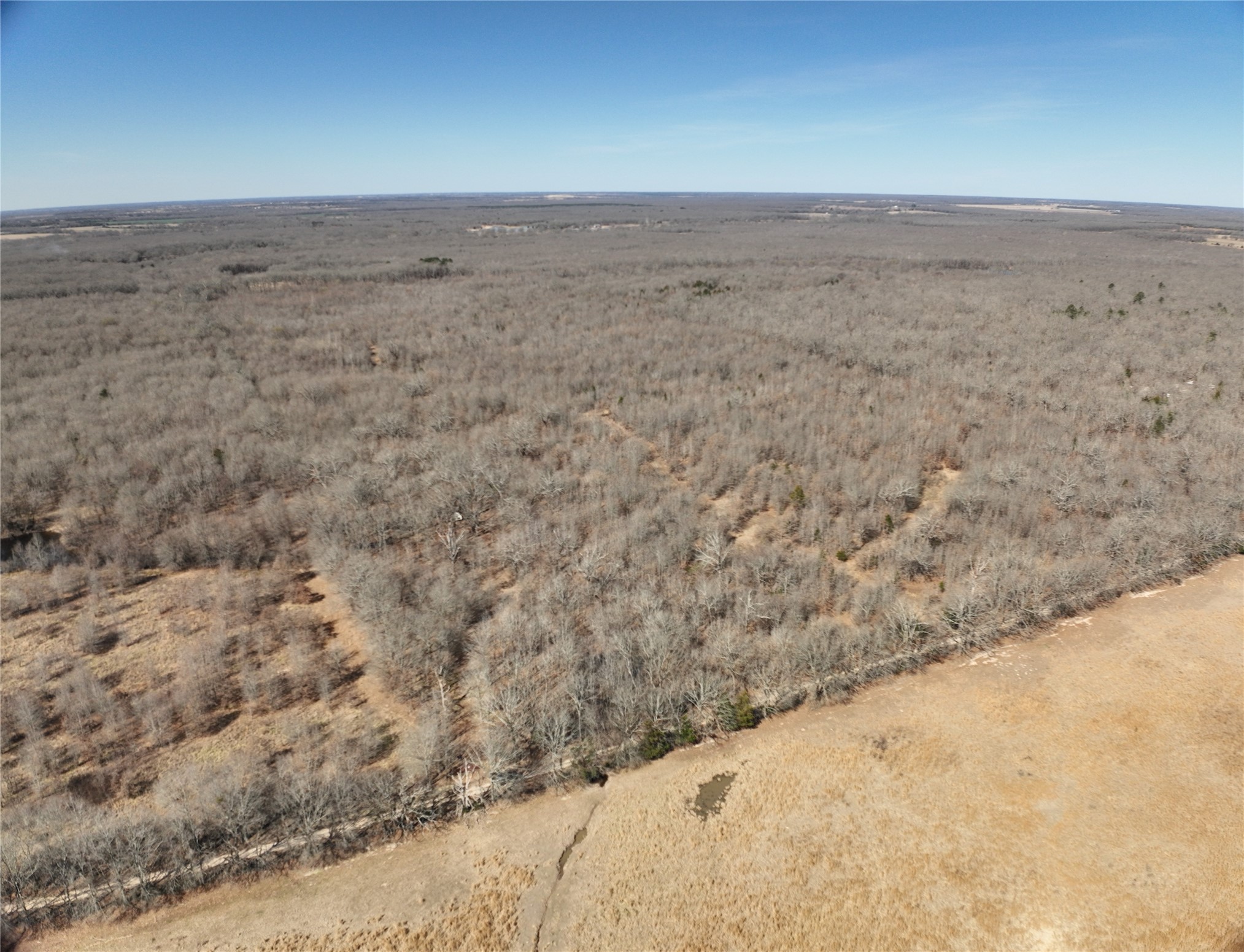 Tbd County Road 1249 Detroit TX 75436