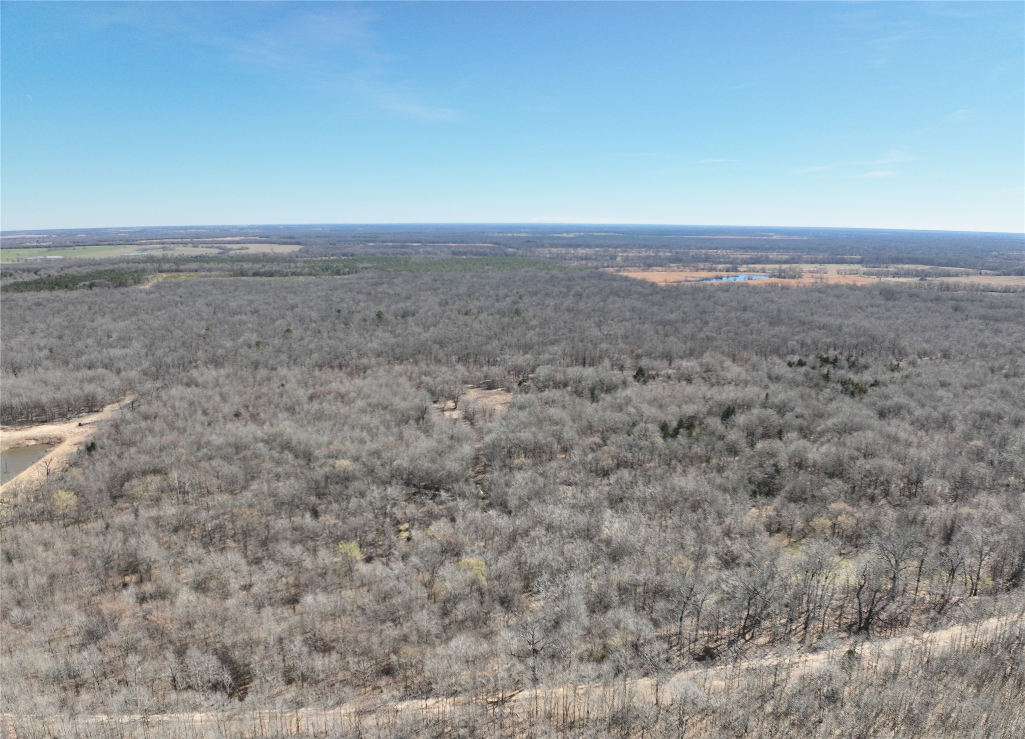 Tbd County Road 1249 Detroit TX 75436
