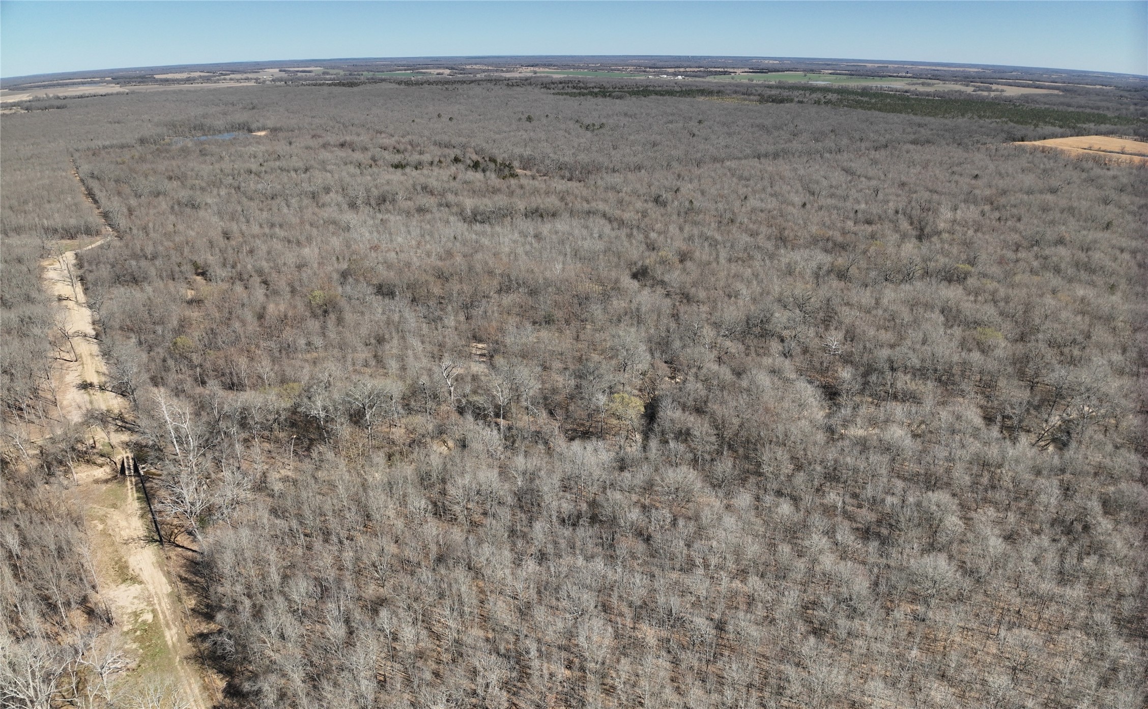 Tbd County Road 1249 Detroit TX 75436
