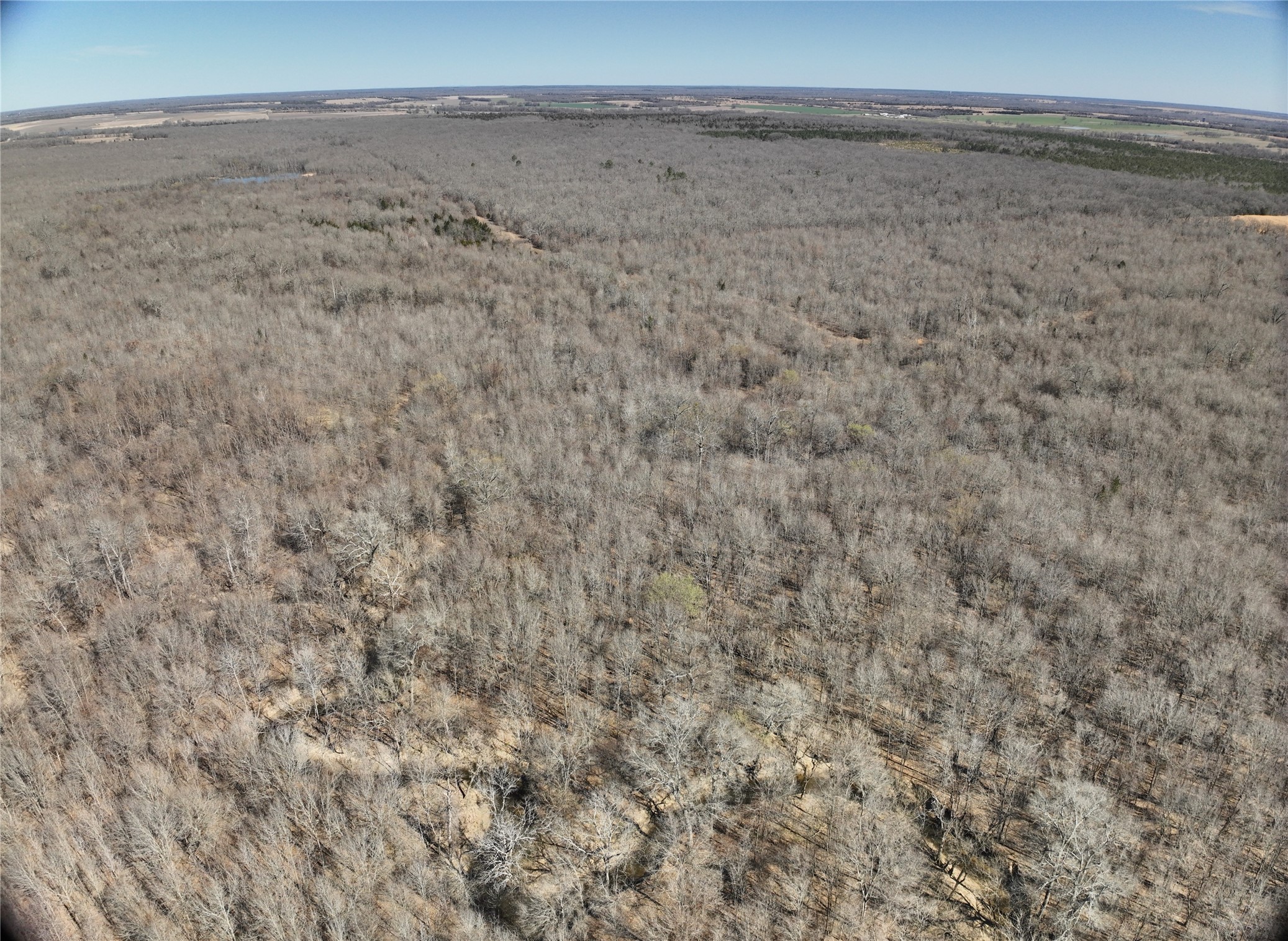 Tbd County Road 1249 Detroit TX 75436