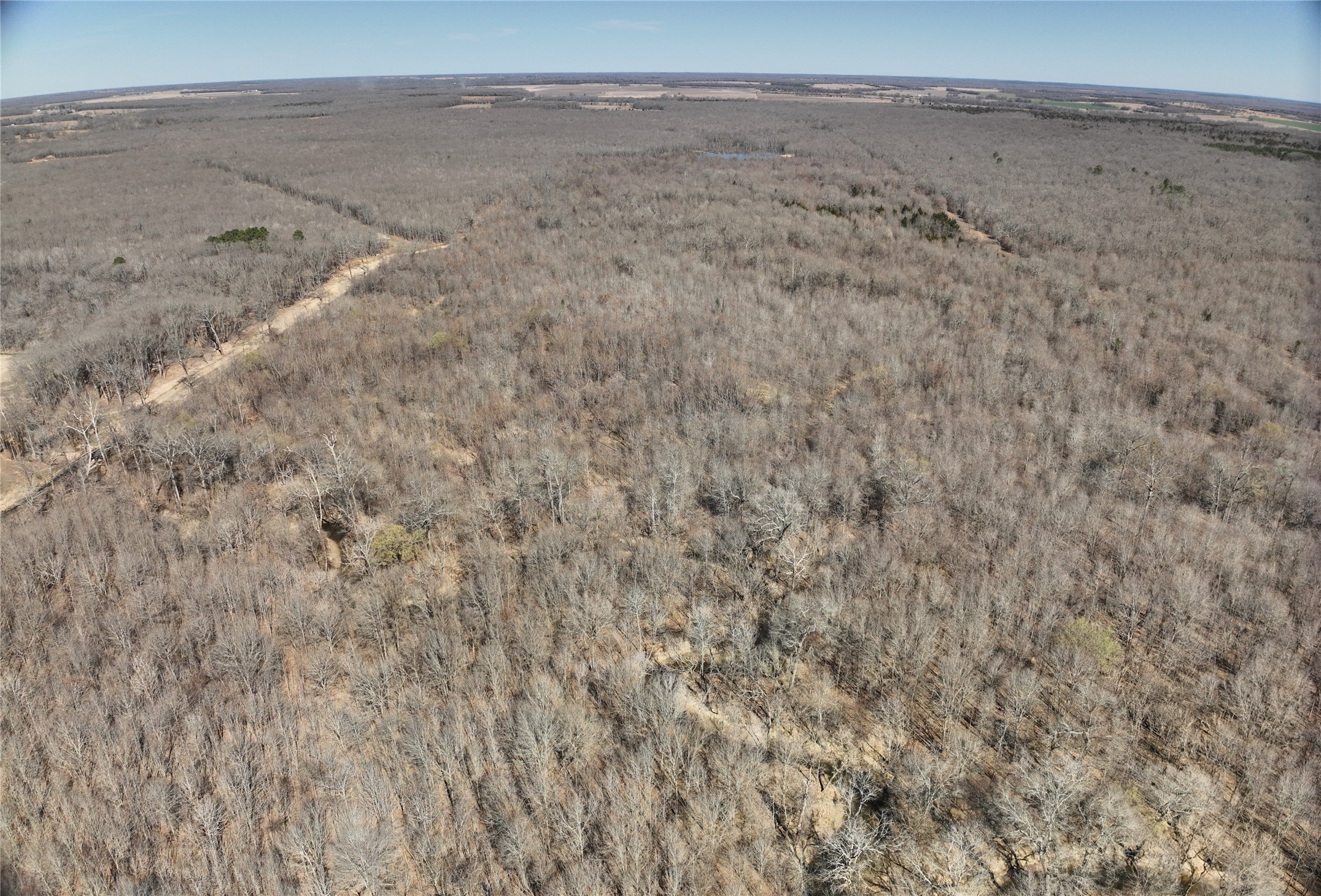 Tbd County Road 1249 Detroit TX 75436
