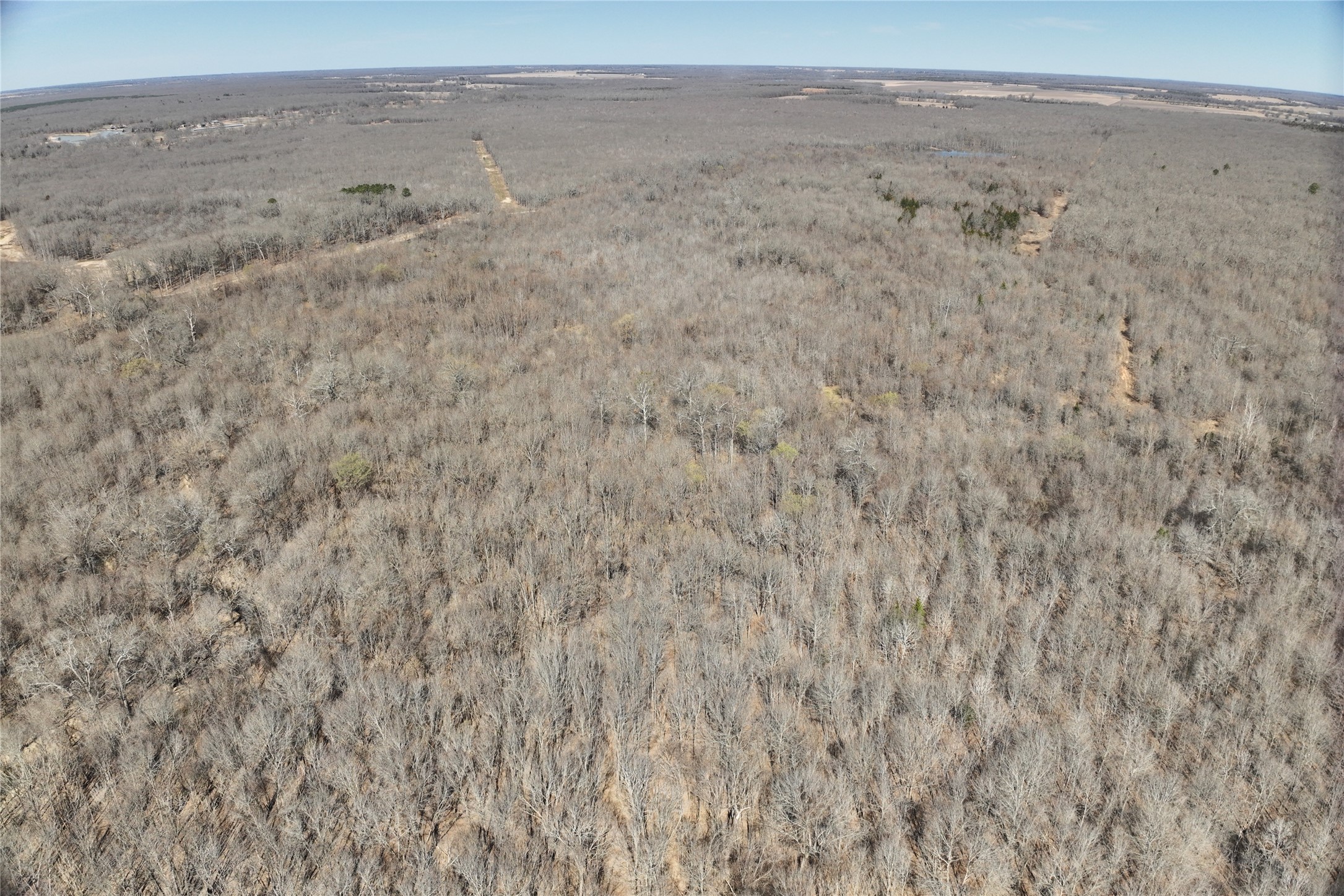 Tbd County Road 1249 Detroit TX 75436