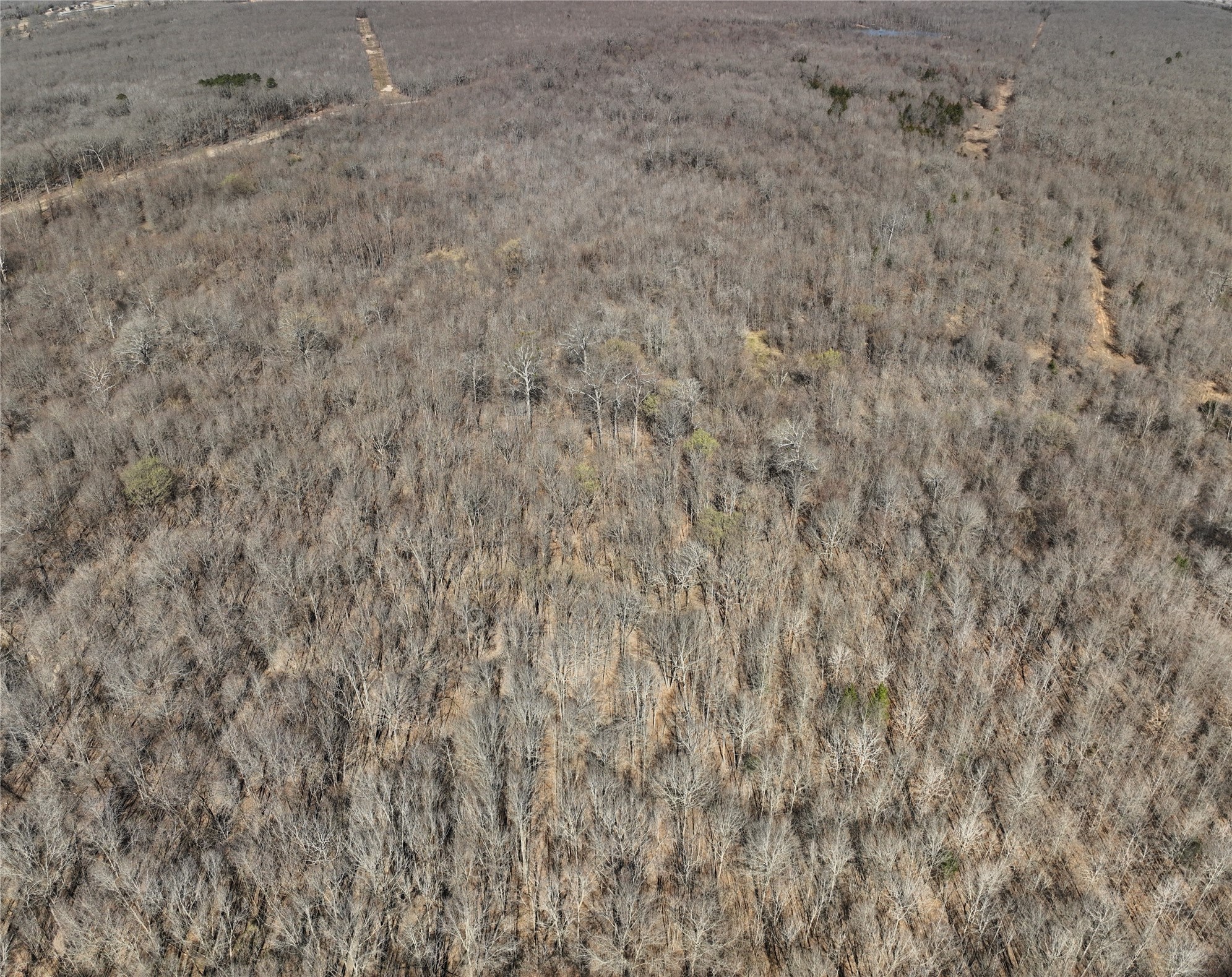 Tbd County Road 1249 Detroit TX 75436
