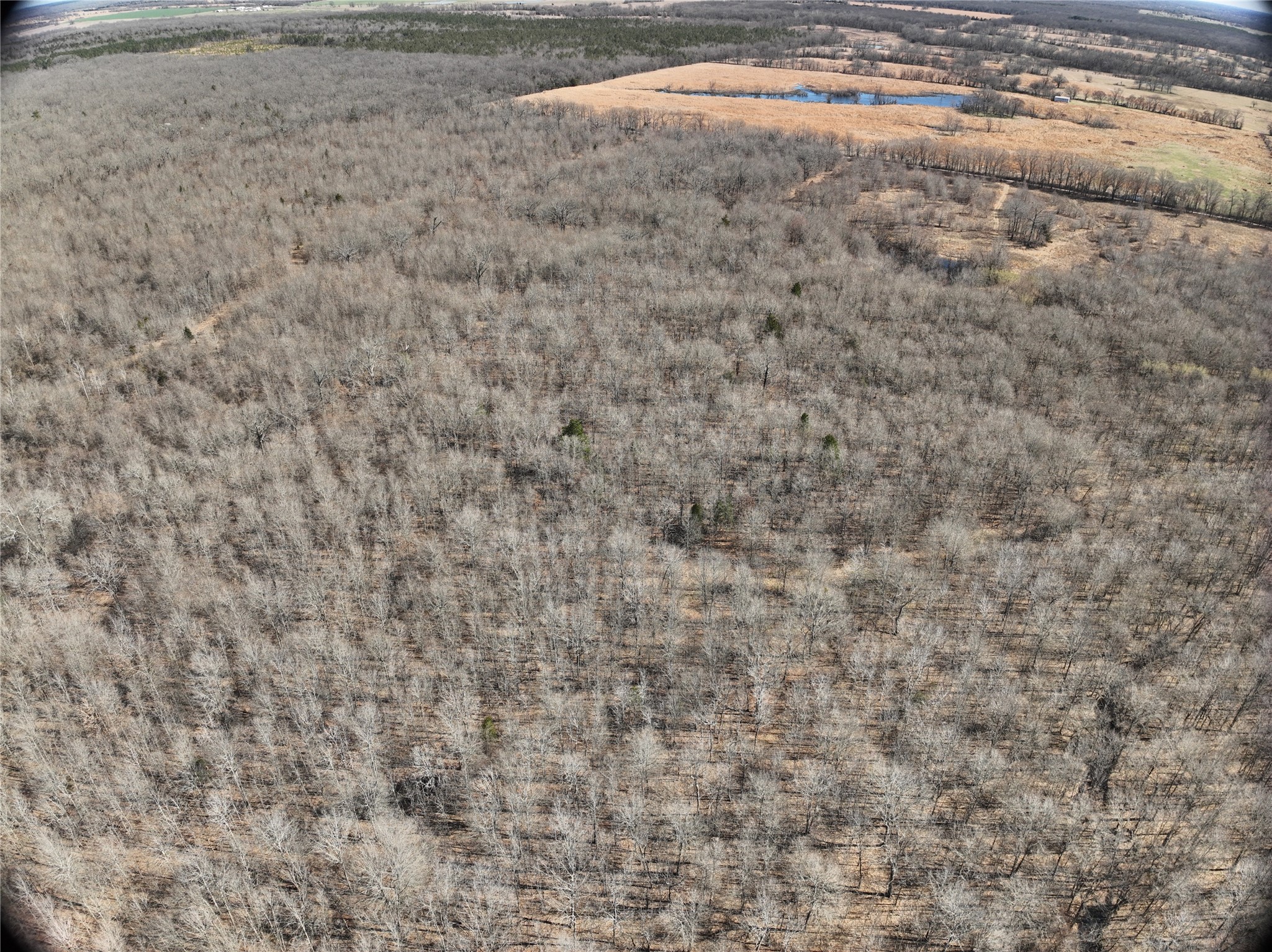 Tbd County Road 1249 Detroit TX 75436