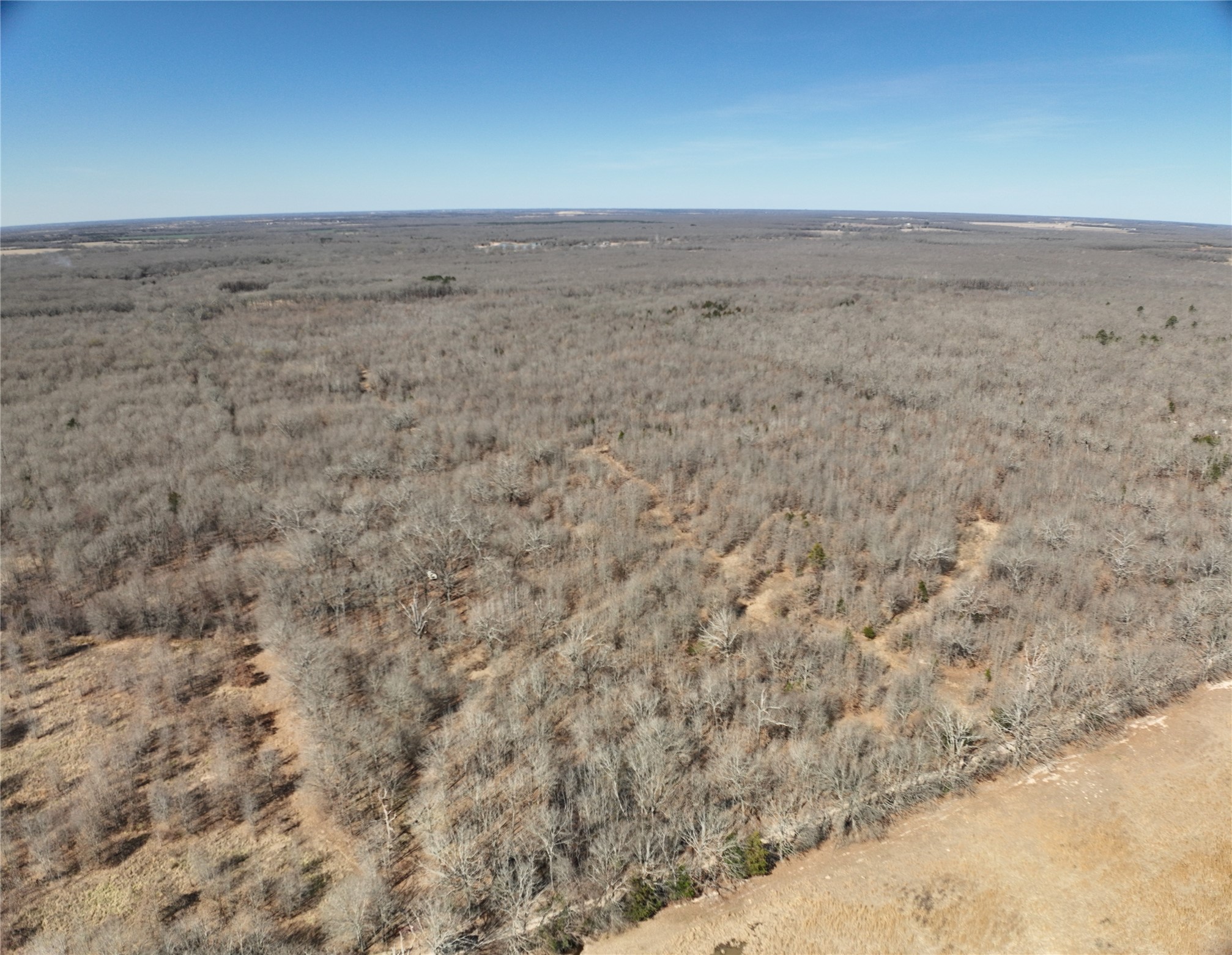 Tbd County Road 1249 Detroit TX 75436