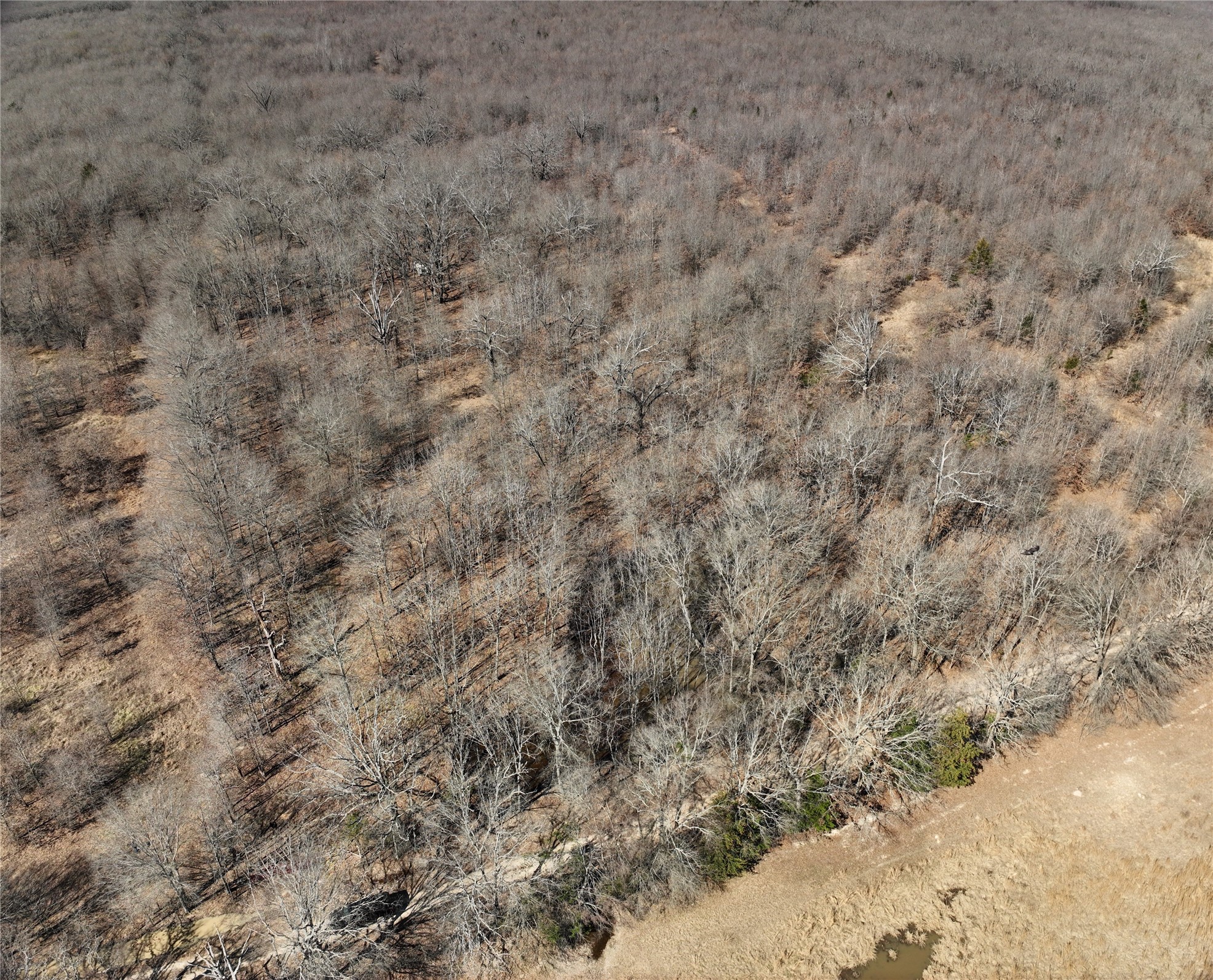 Tbd County Road 1249 Detroit TX 75436