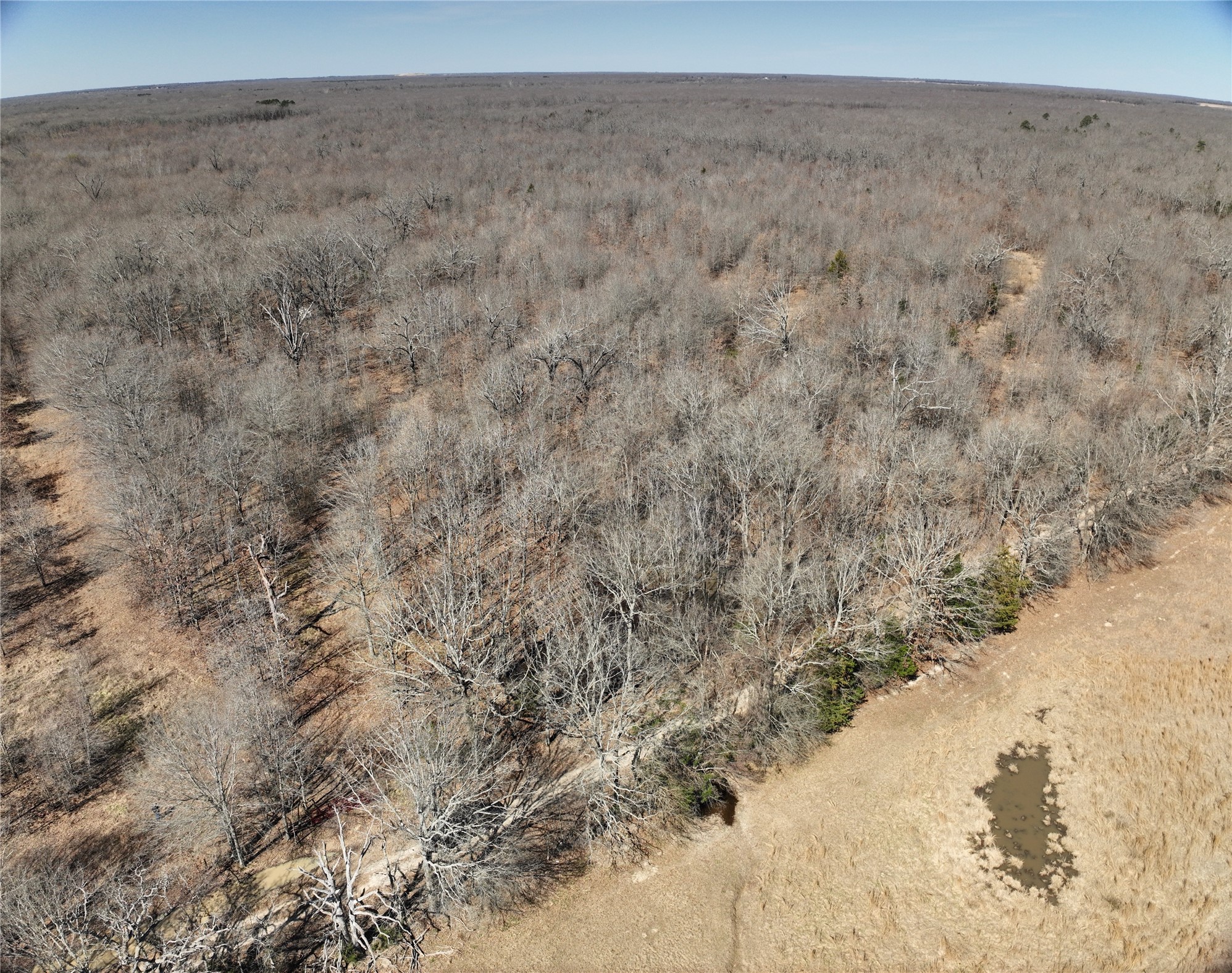 Tbd County Road 1249 Detroit TX 75436