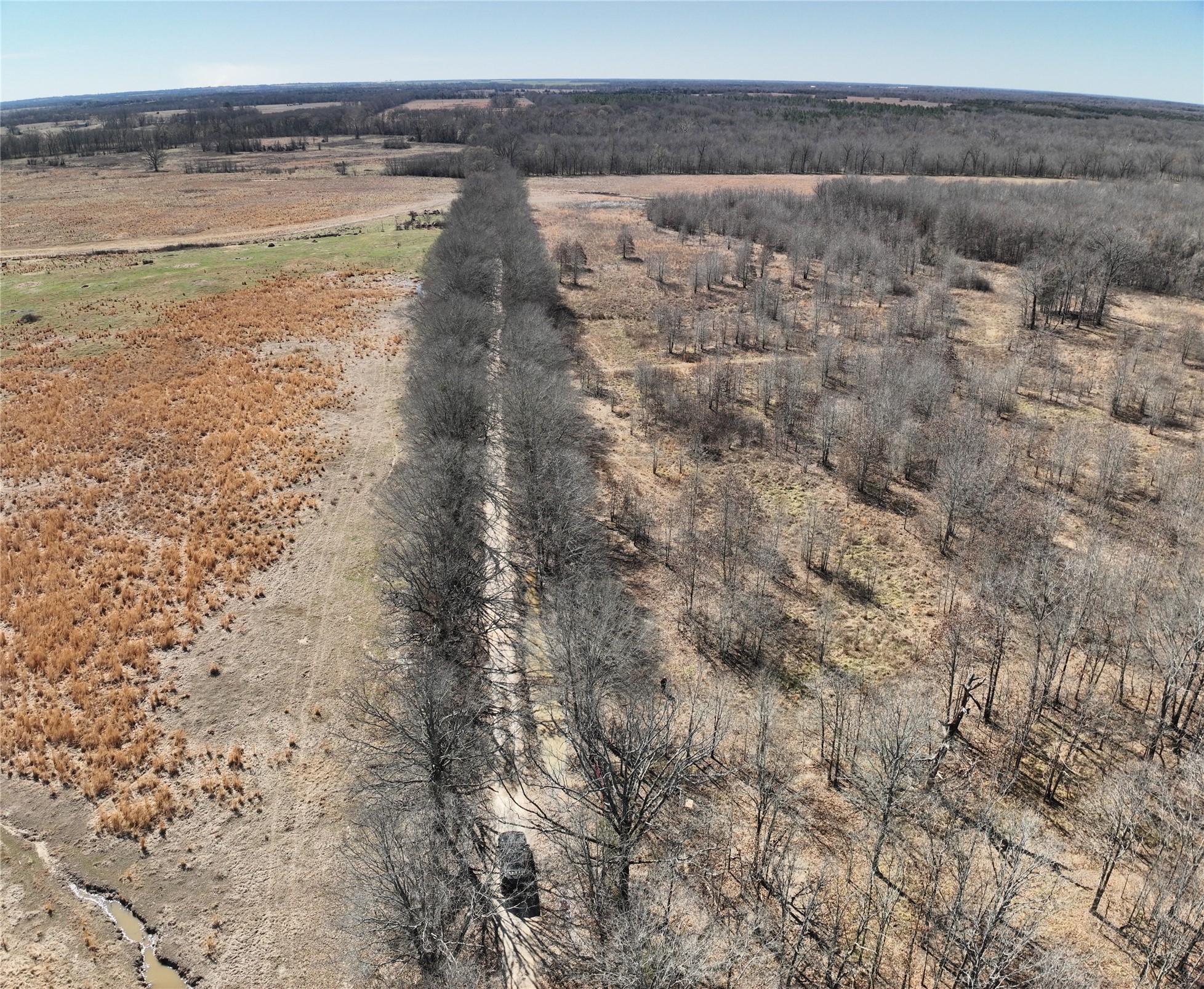 Tbd County Road 1249 Detroit TX 75436