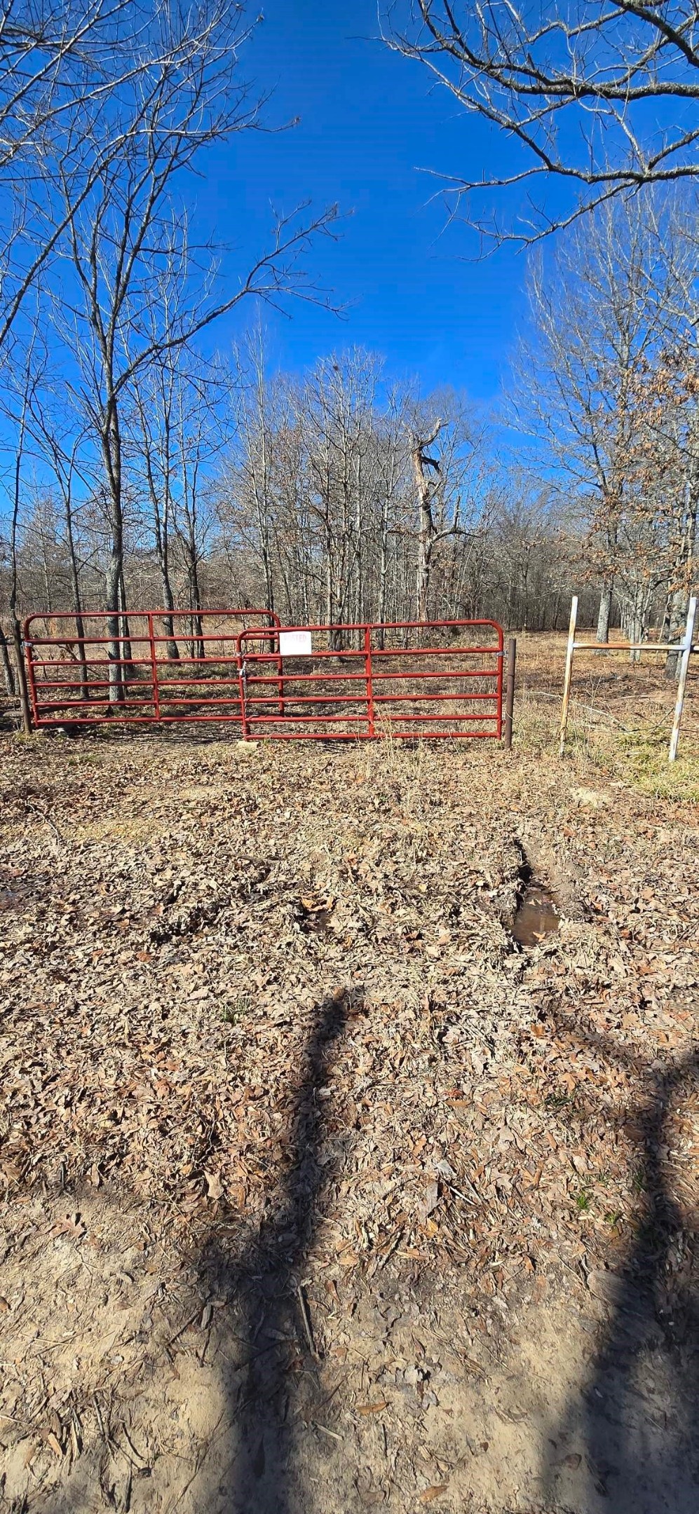 Tbd County Road 1249 Detroit TX 75436