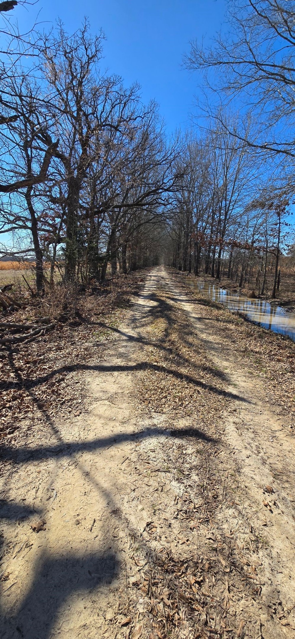 Tbd County Road 1249 Detroit TX 75436