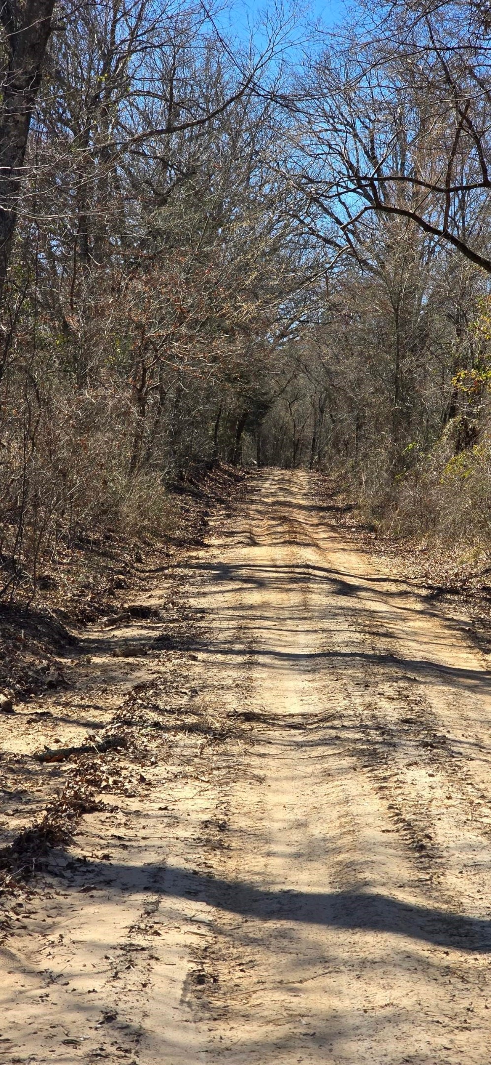 Tbd County Road 1249 Detroit TX 75436