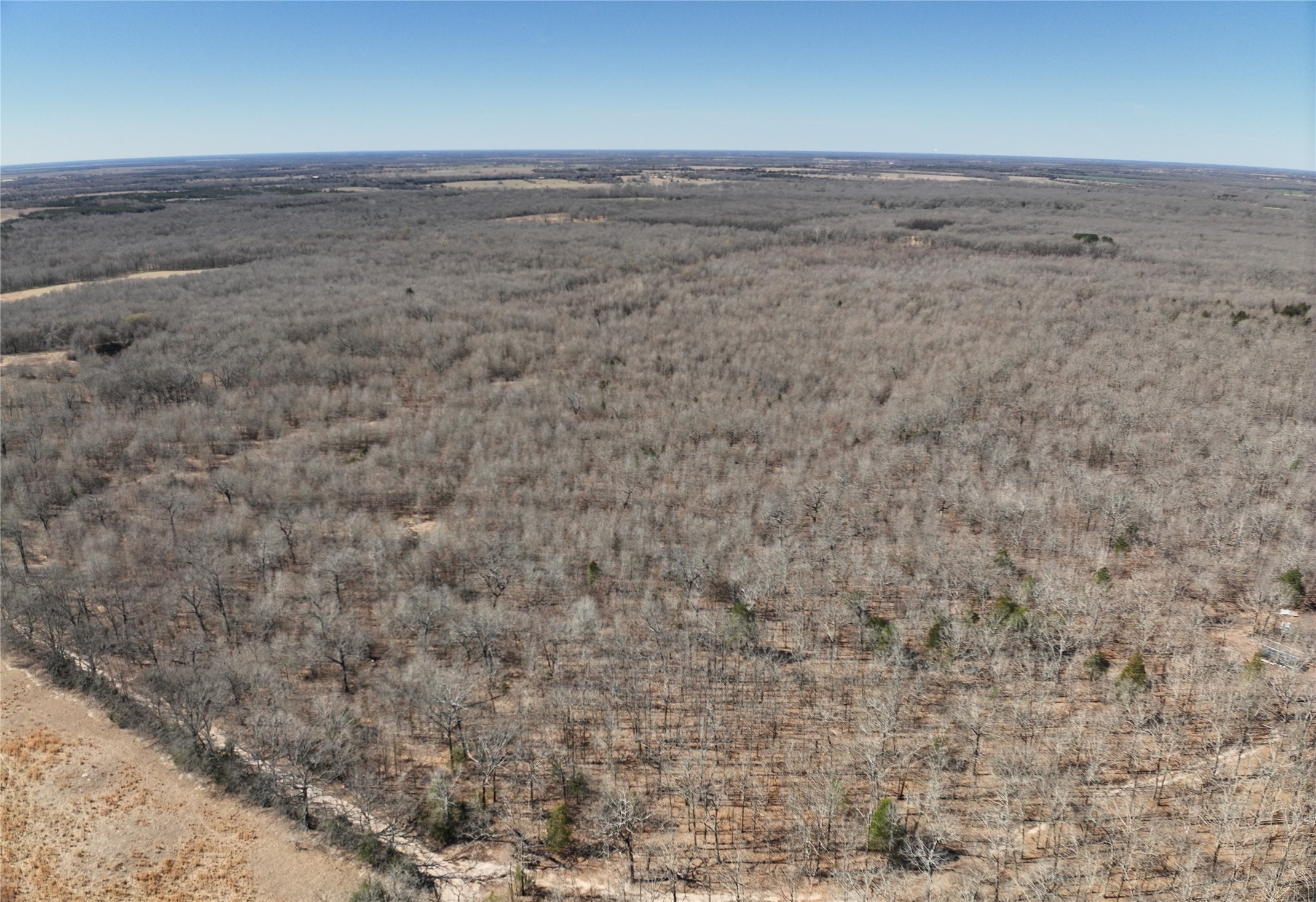 Tbd County Road 1249 Detroit TX 75436