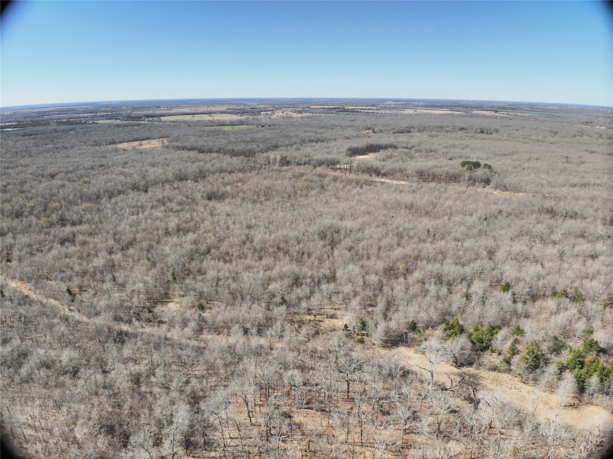 Tbd County Road 1249 Detroit TX 75436