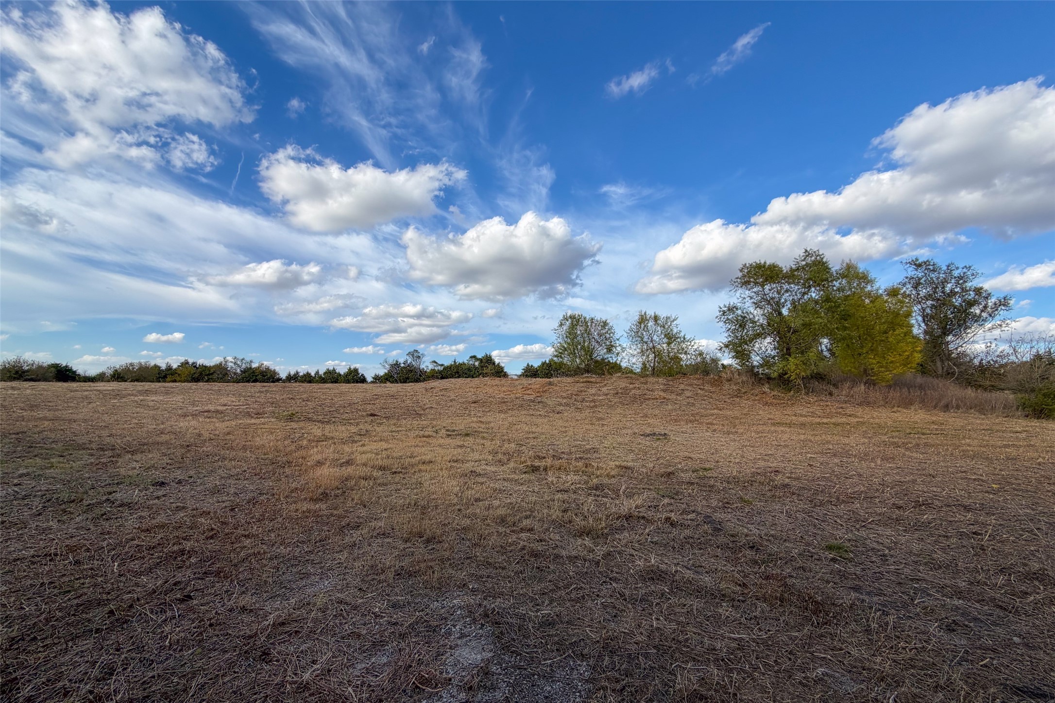 Tbd County Road 616 Farmersville TX 75442