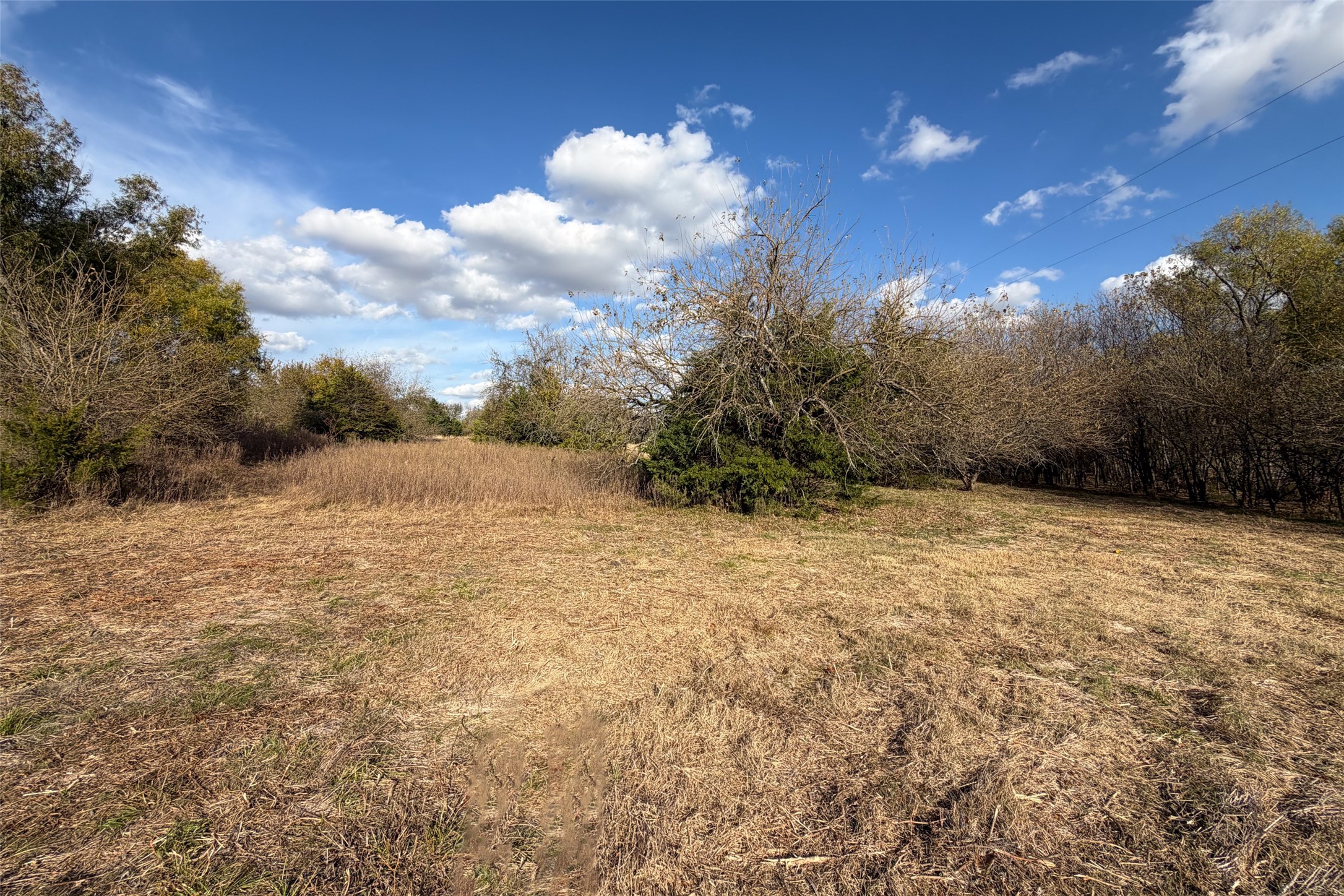 Tbd County Road 616 Farmersville TX 75442