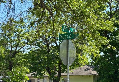 7242 Amy Street Dallas TX 75217