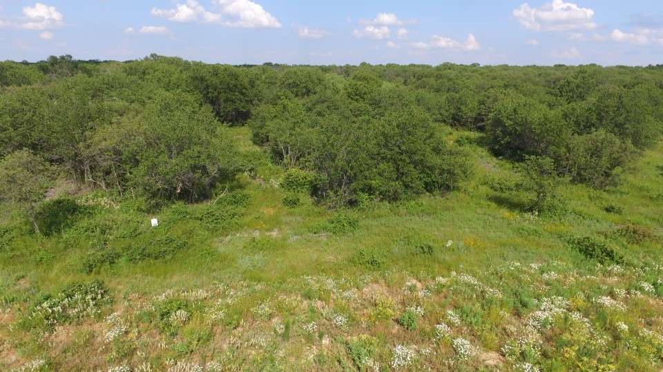 Lot 90 Paradise Oaks Perrin TX 76486