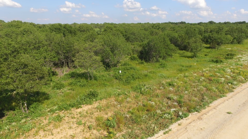 Lot 90 Paradise Oaks Perrin TX 76486