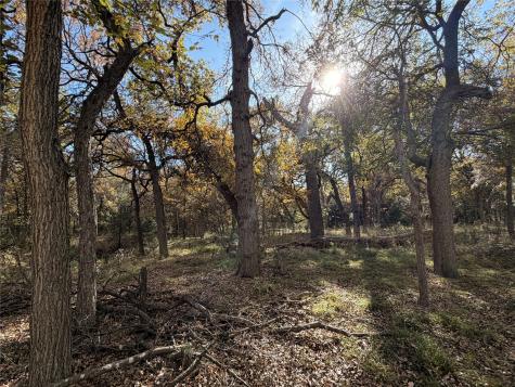 Tbd Fm 1655 Chico TX 76431