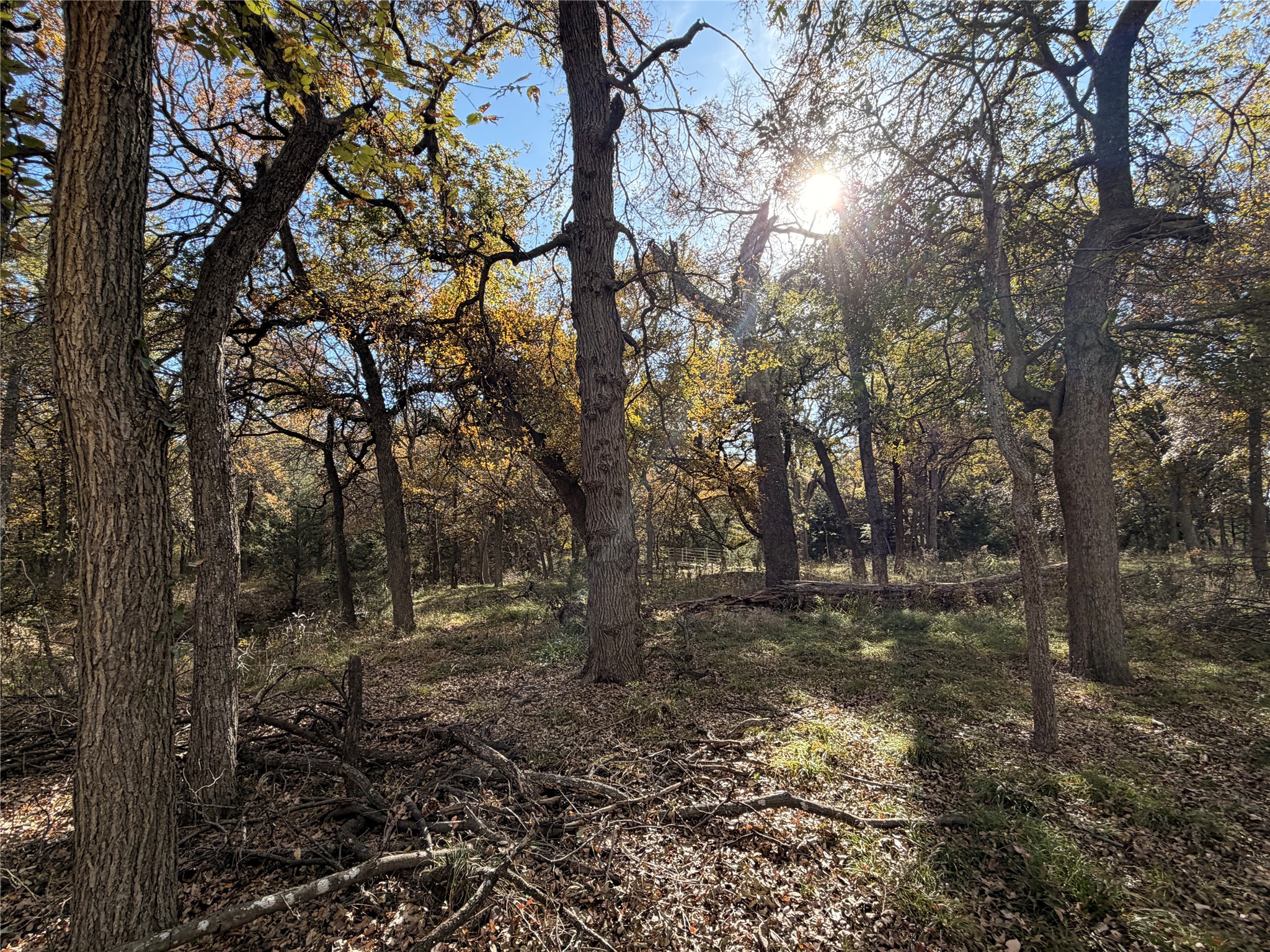 Tbd Fm 1655 Chico TX 76431